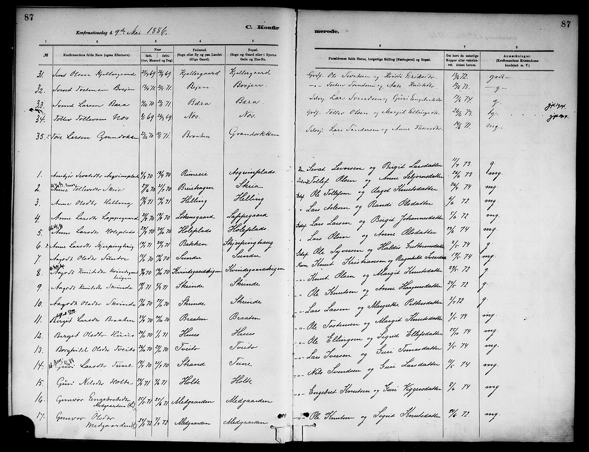Ål kirkebøker, SAKO/A-249/F/Fa/L0008: Parish register (official) no. I 8, 1882-1896, p. 87