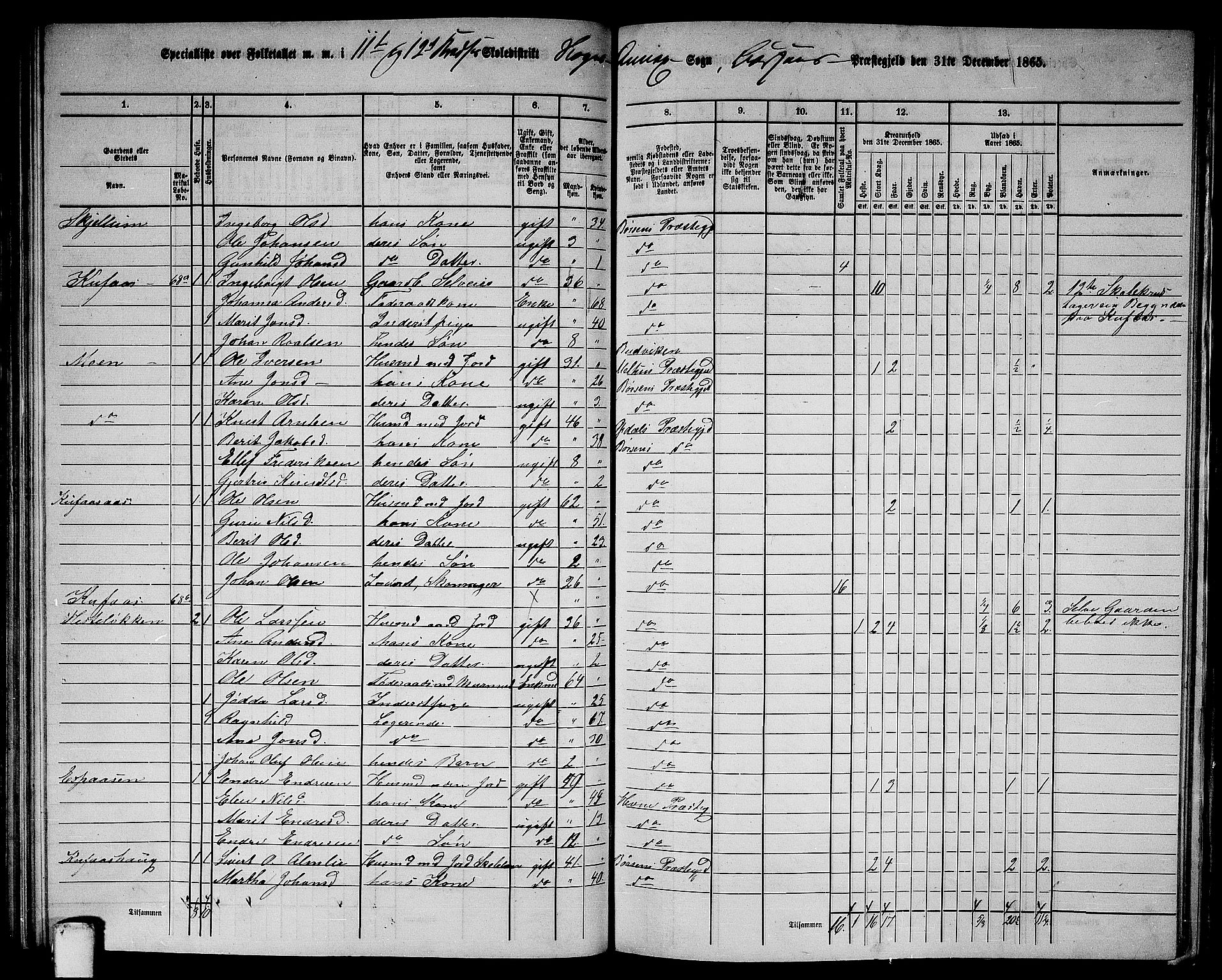 RA, 1865 census for Børsa, 1865, p. 133