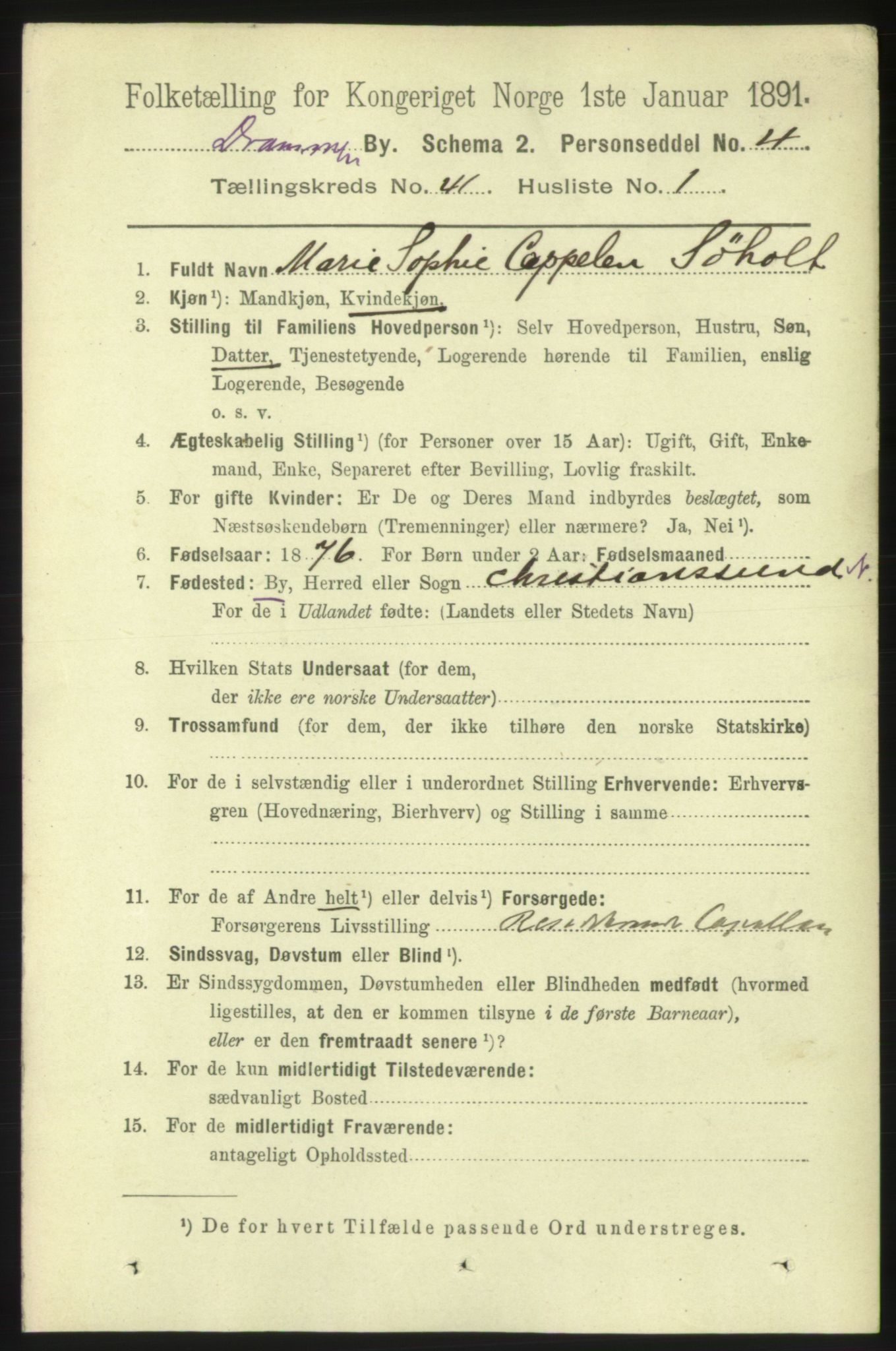 RA, 1891 census for 0602 Drammen, 1891, p. 24155