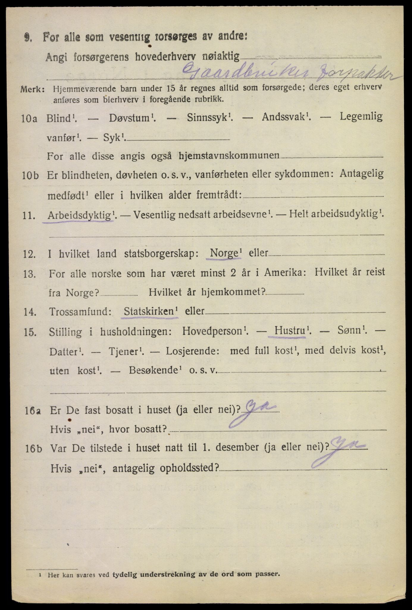 SAKO, 1920 census for Rauland, 1920, p. 2075