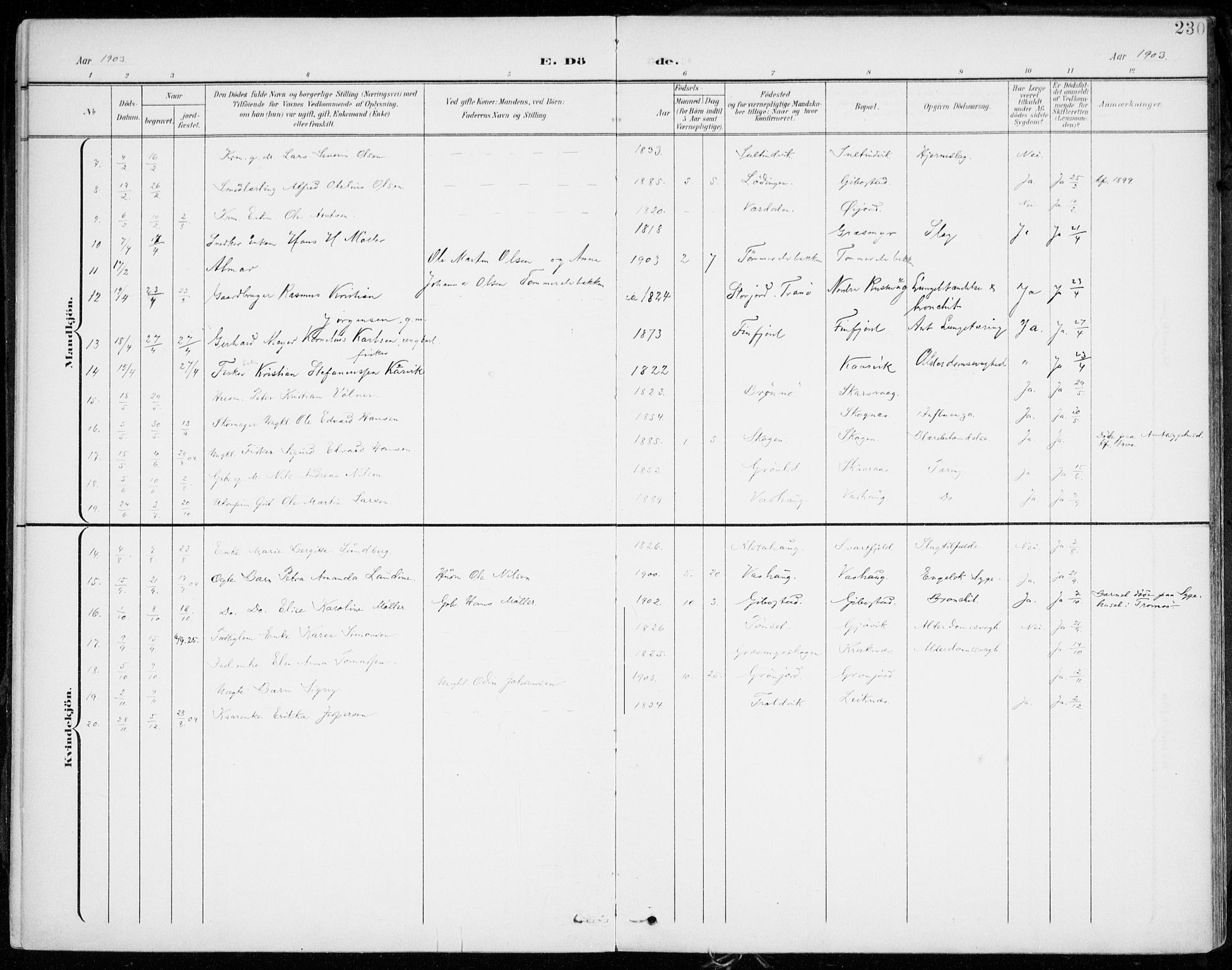 Lenvik sokneprestembete, AV/SATØ-S-1310/H/Ha/Haa/L0014kirke: Parish register (official) no. 14, 1899-1909, p. 230