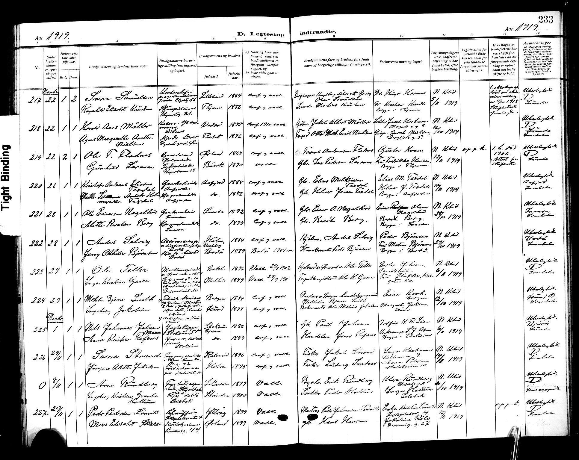 Ministerialprotokoller, klokkerbøker og fødselsregistre - Sør-Trøndelag, AV/SAT-A-1456/601/L0097: Parish register (copy) no. 601C15, 1911-1921, p. 233