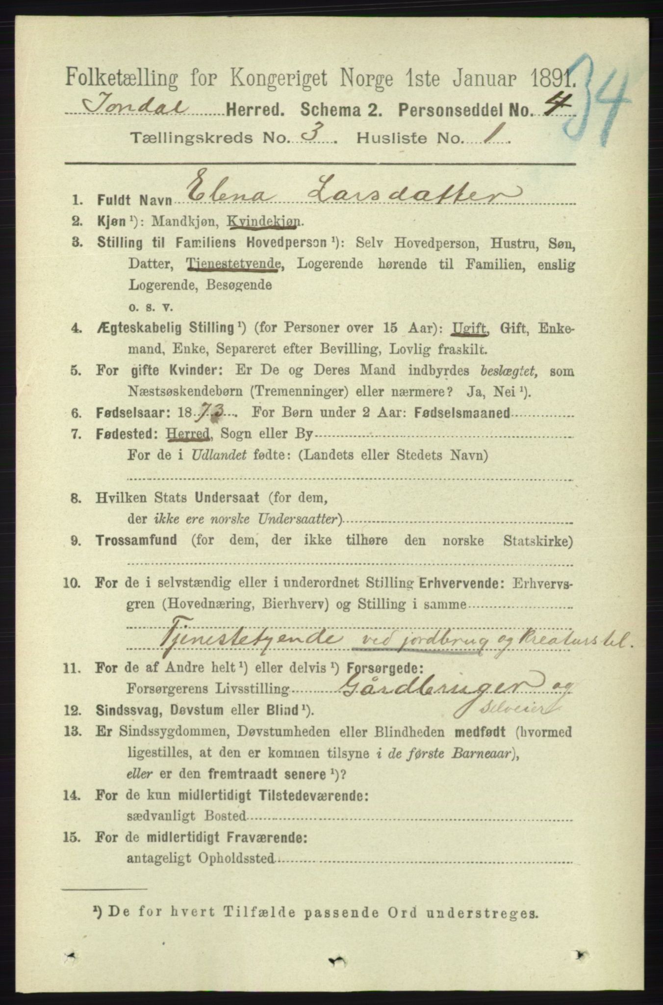 RA, 1891 census for 1227 Jondal, 1891, p. 1303