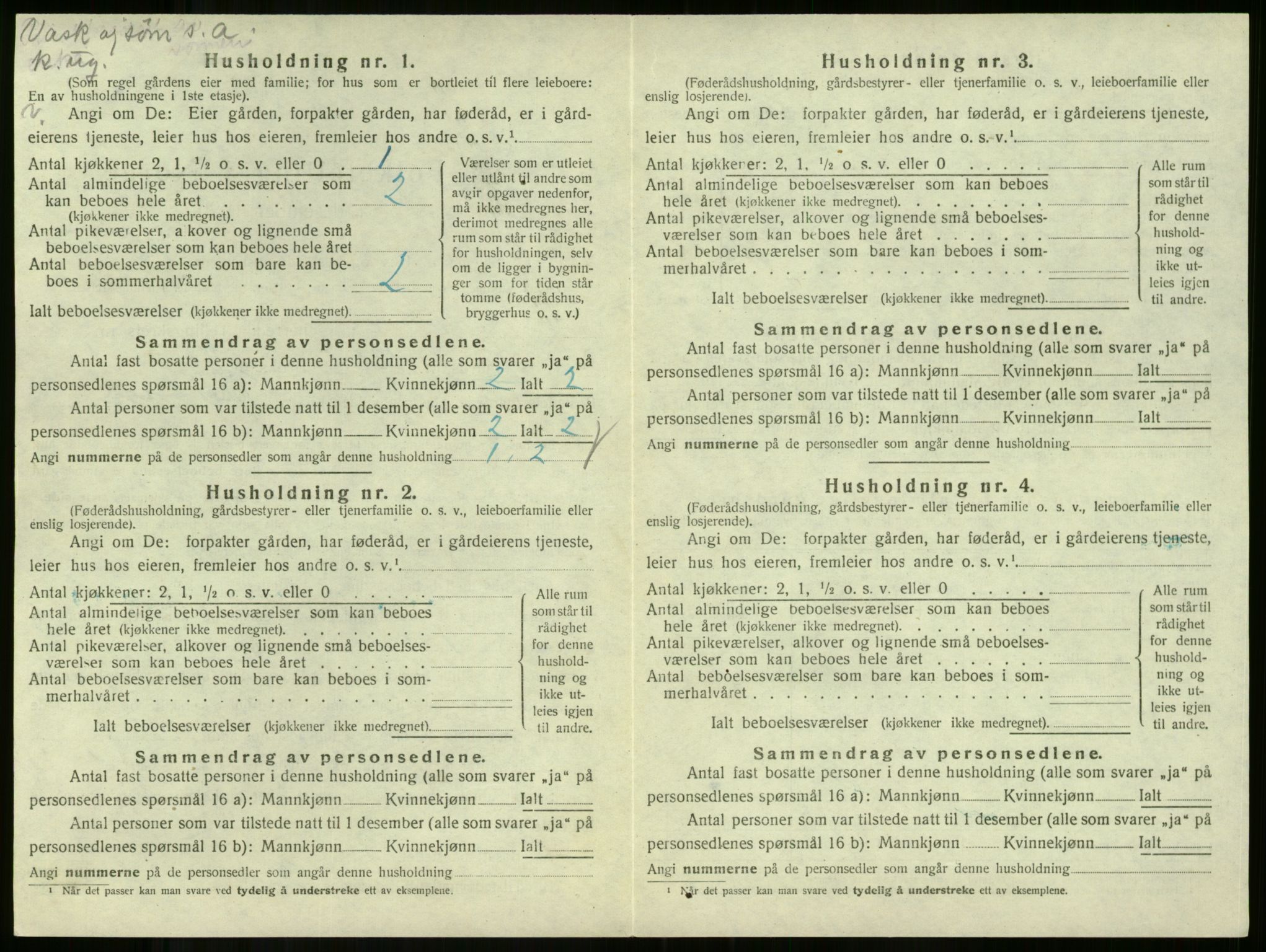 SAKO, 1920 census for Andebu, 1920, p. 1133