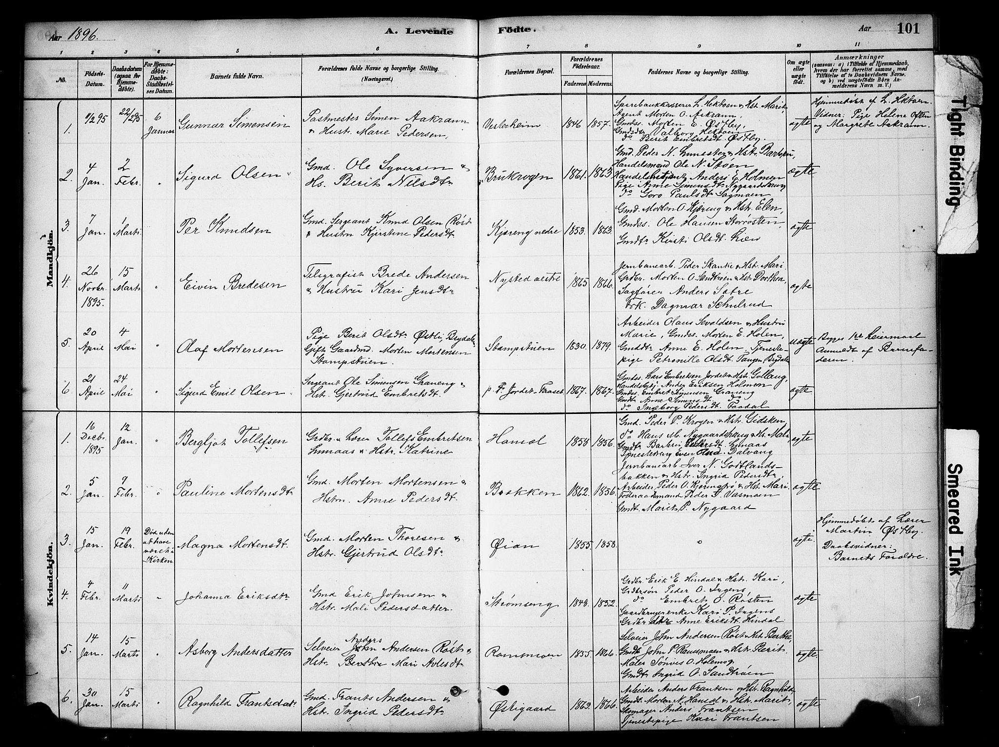 Tynset prestekontor, SAH/PREST-058/H/Ha/Hab/L0006: Parish register (copy) no. 6, 1880-1899, p. 101