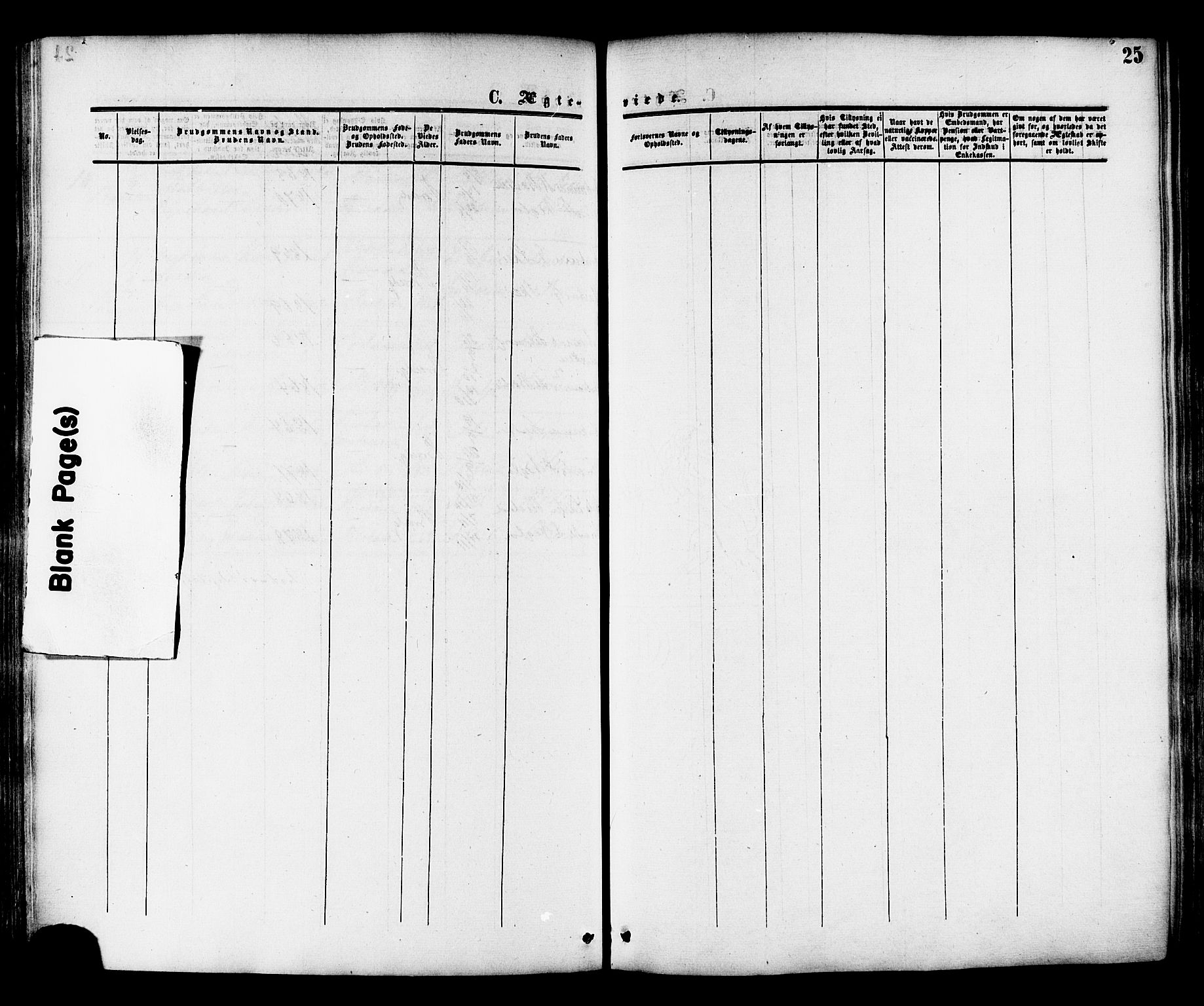 Ministerialprotokoller, klokkerbøker og fødselsregistre - Nord-Trøndelag, SAT/A-1458/764/L0553: Parish register (official) no. 764A08, 1858-1880, p. 25