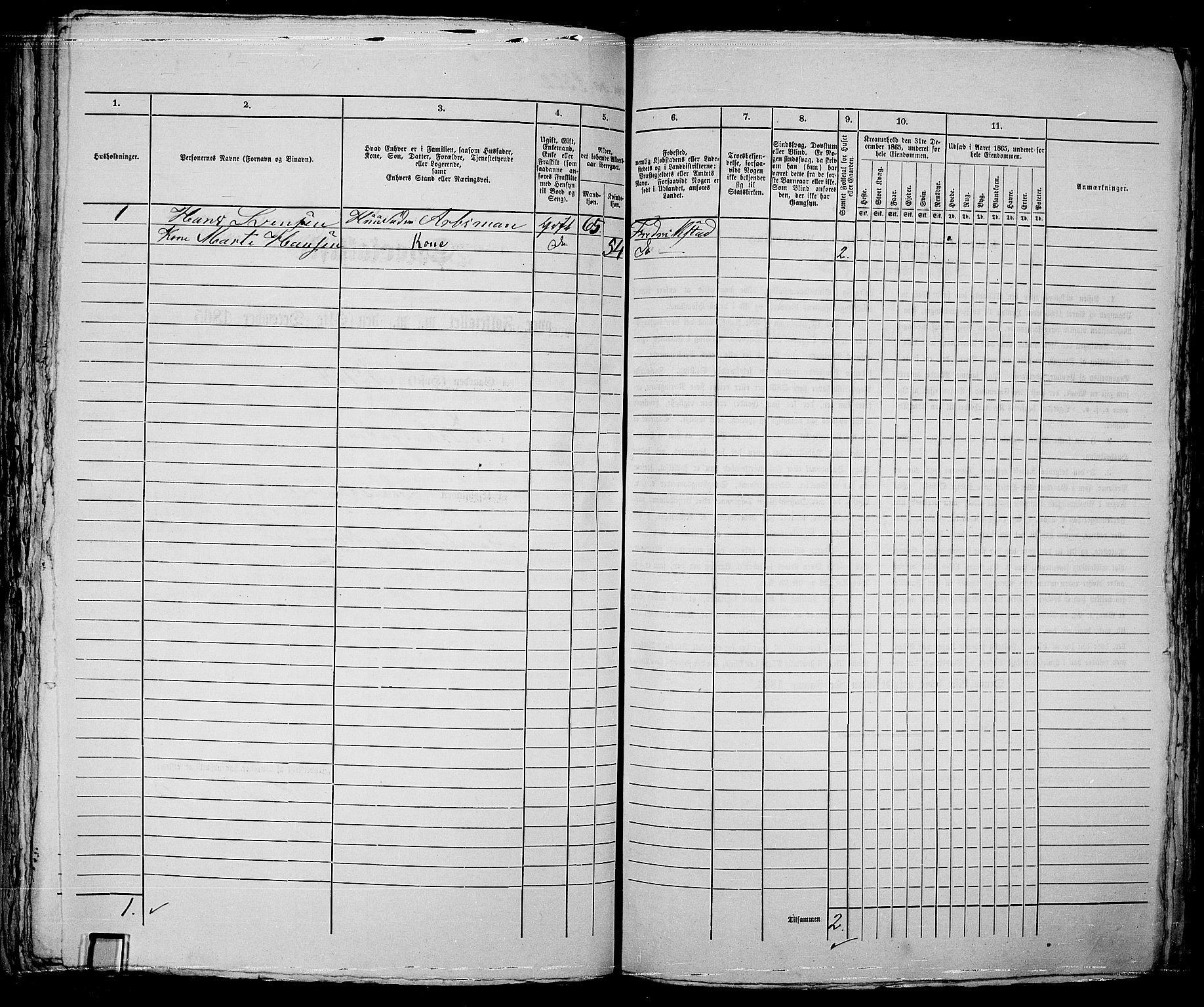 RA, 1865 census for Kristiania, 1865, p. 5173