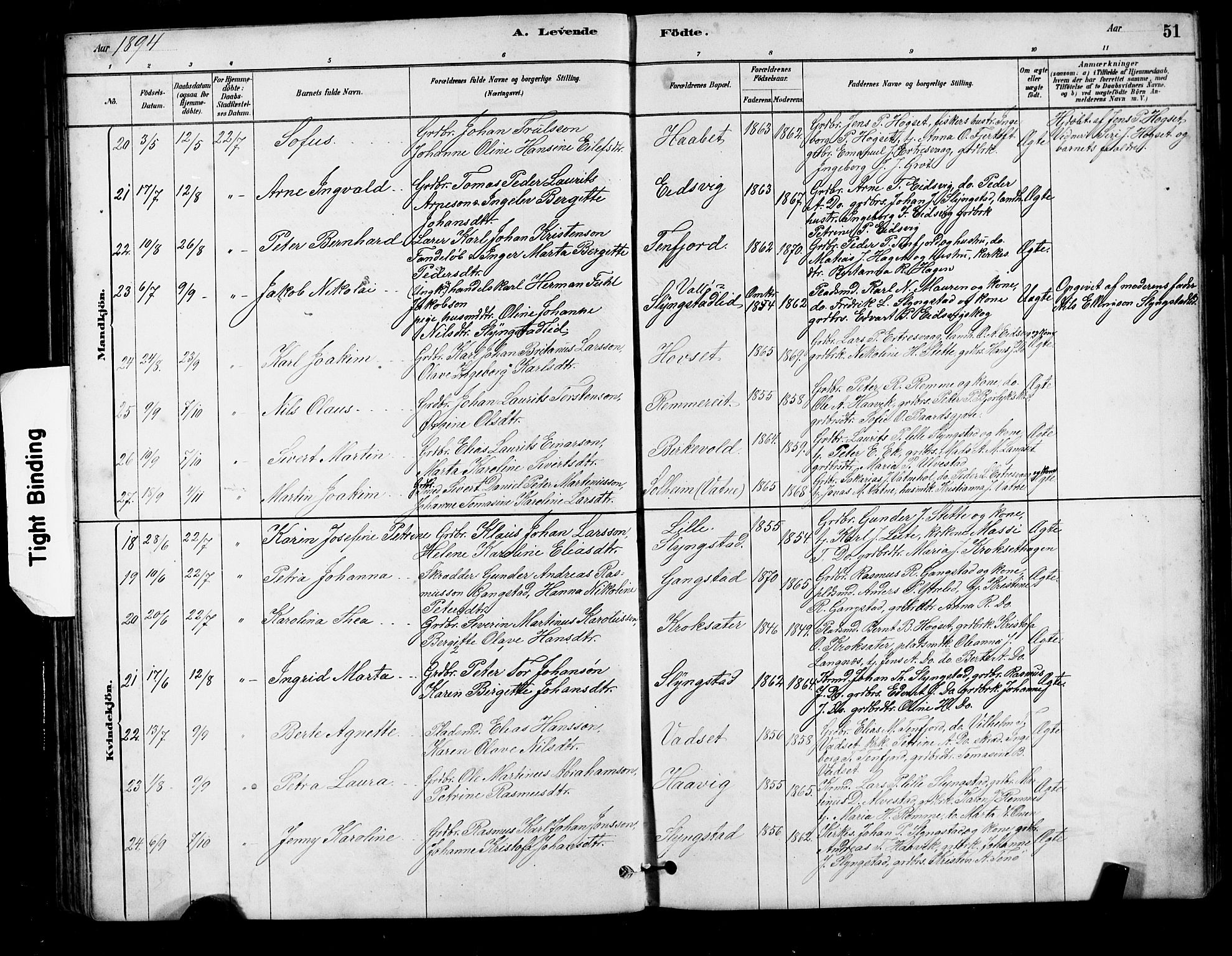 Ministerialprotokoller, klokkerbøker og fødselsregistre - Møre og Romsdal, AV/SAT-A-1454/525/L0376: Parish register (copy) no. 525C02, 1880-1902, p. 51