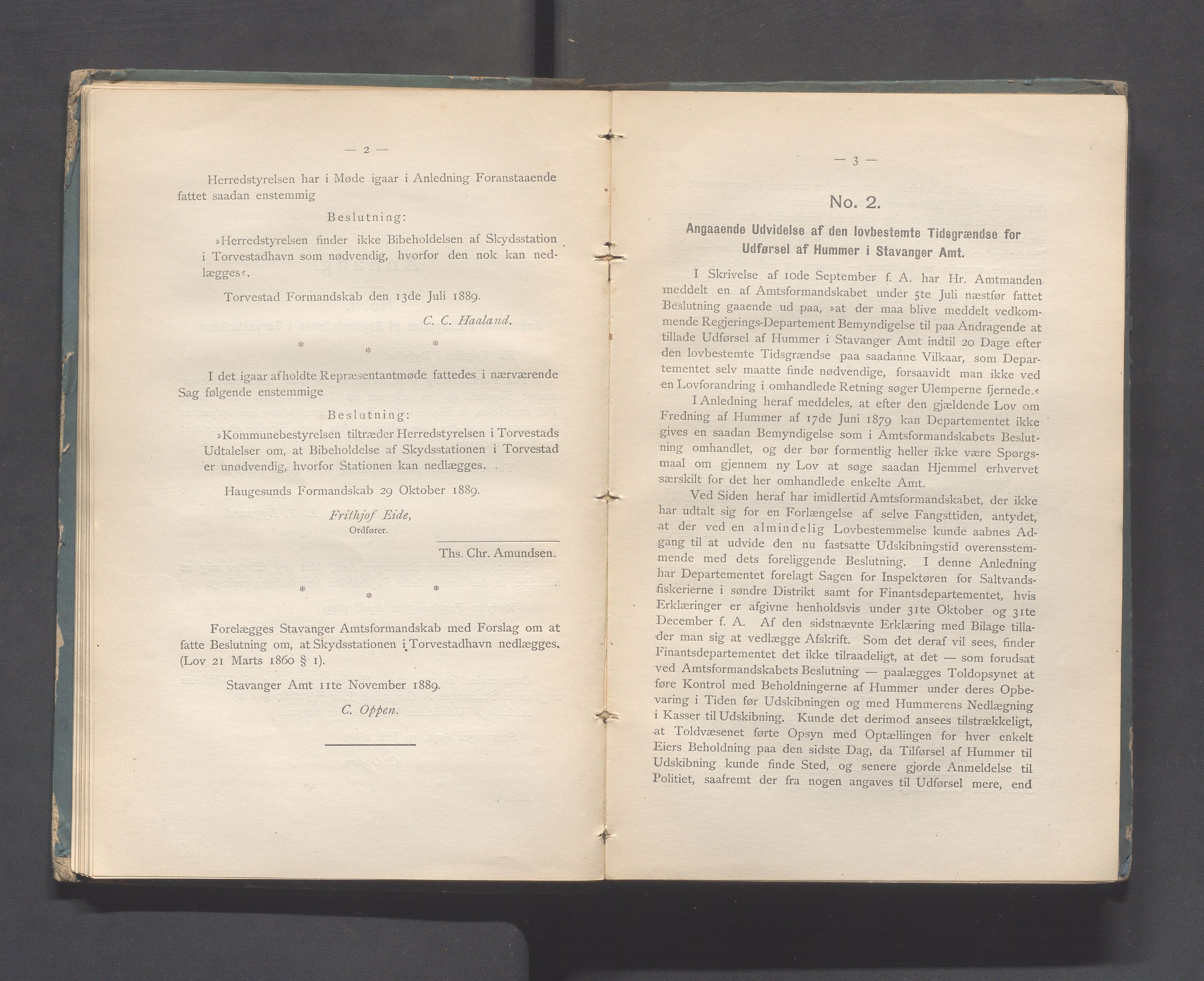 Rogaland fylkeskommune - Fylkesrådmannen , IKAR/A-900/A, 1890, p. 56