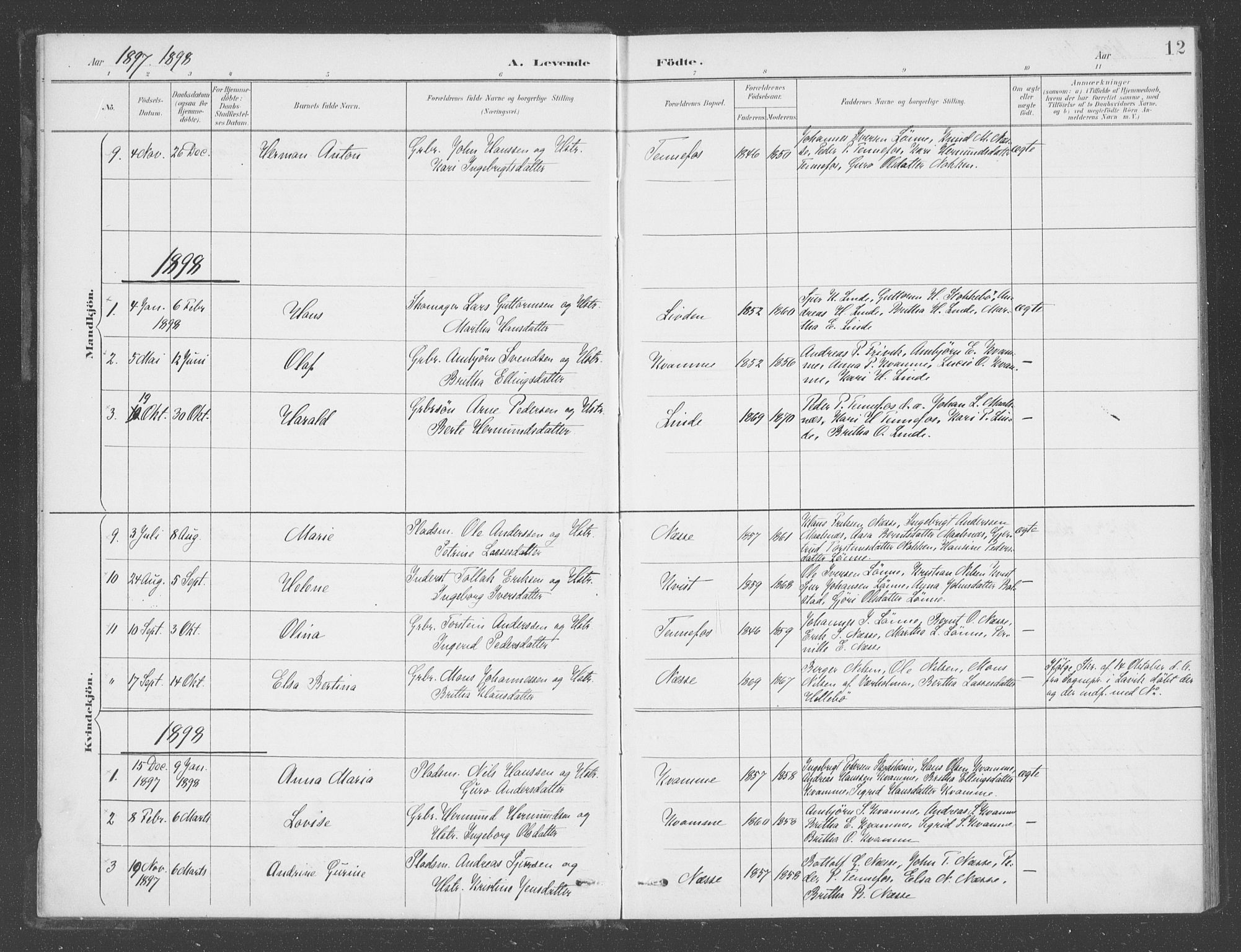 Balestrand sokneprestembete, SAB/A-79601: Parish register (official) no. D  2, 1891-1907, p. 12