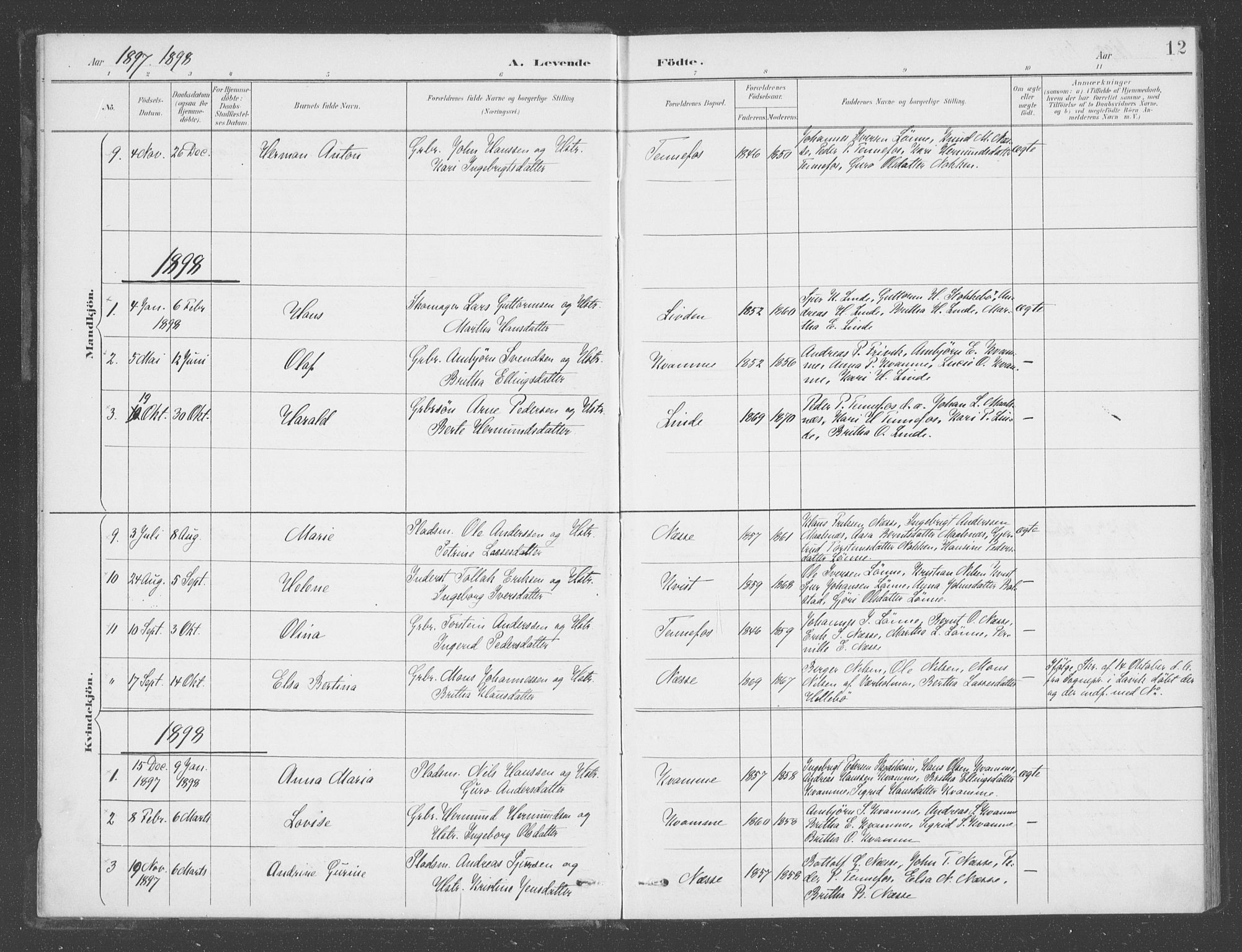 Vik sokneprestembete, AV/SAB-A-81501/H/Haa/Haad/L0002: Parish register (official) no. D  2, 1891-1907, p. 12