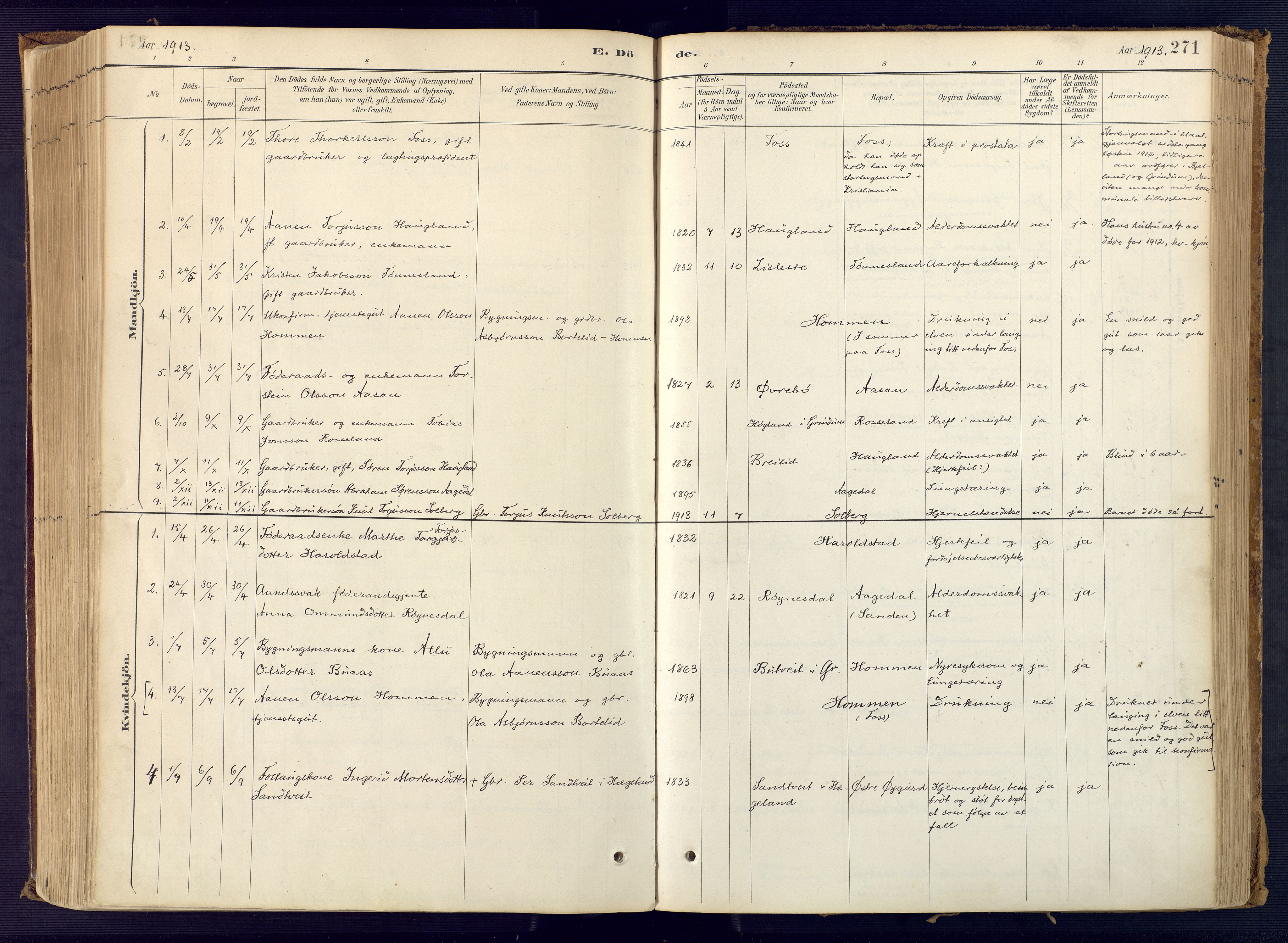 Bjelland sokneprestkontor, SAK/1111-0005/F/Fa/Faa/L0004: Parish register (official) no. A 4, 1887-1923, p. 271