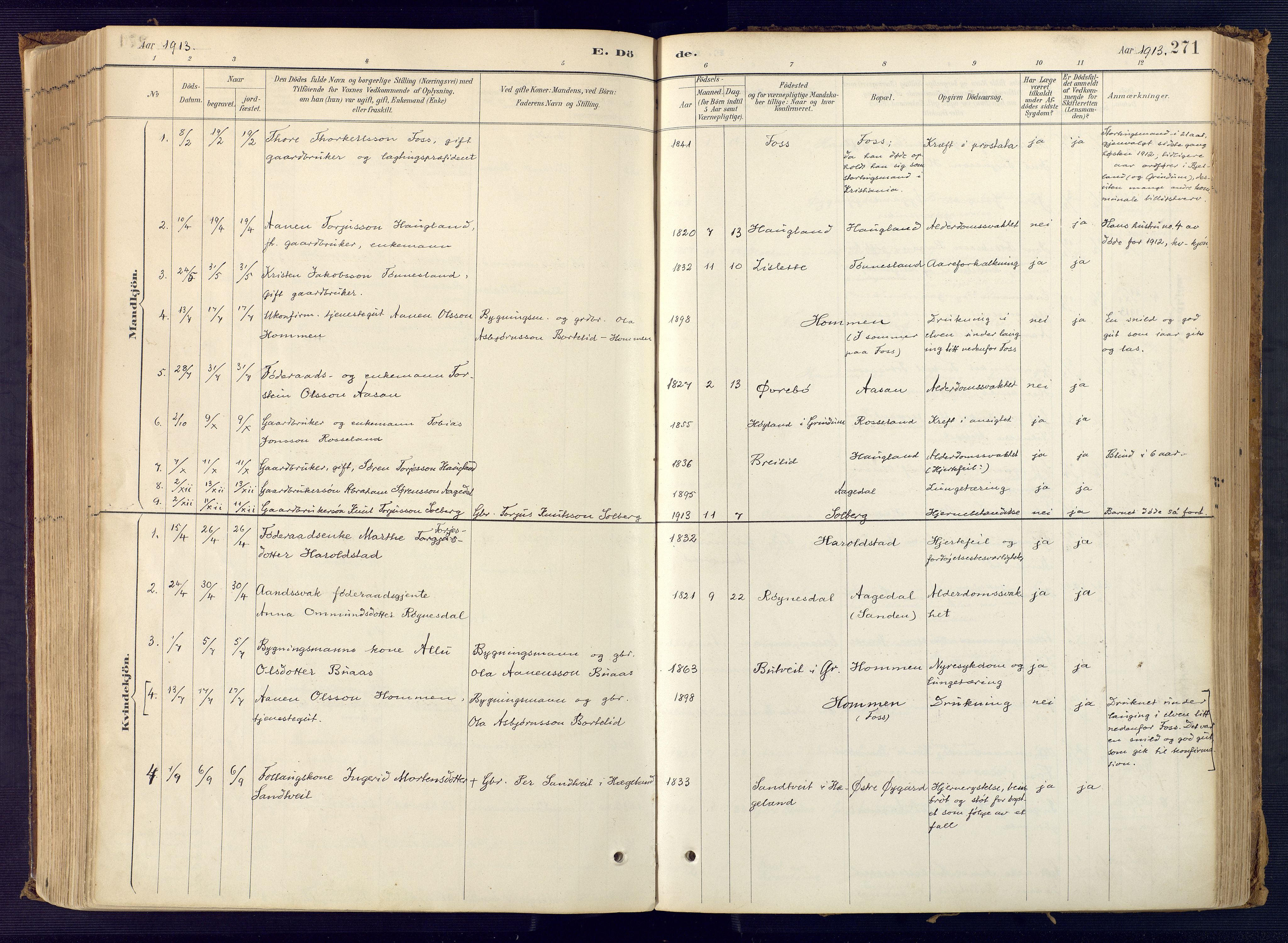 Bjelland sokneprestkontor, AV/SAK-1111-0005/F/Fa/Faa/L0004: Parish register (official) no. A 4, 1887-1923, p. 271