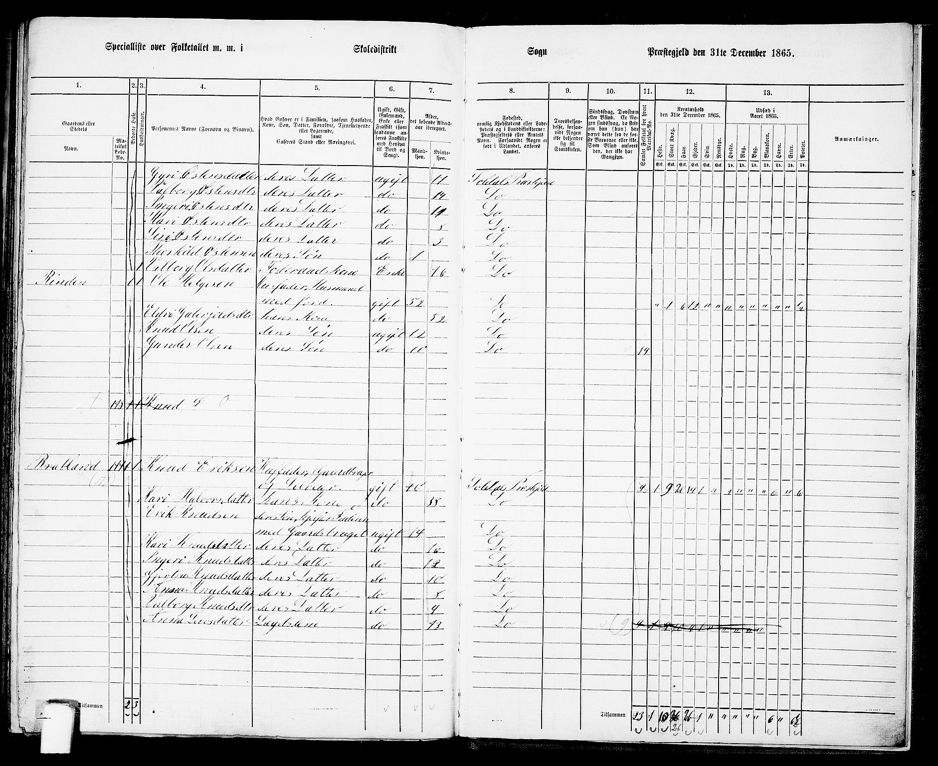 RA, 1865 census for Suldal, 1865, p. 120