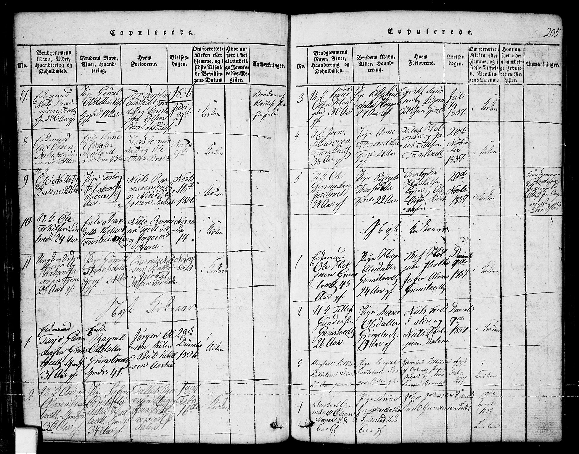 Nissedal kirkebøker, SAKO/A-288/G/Ga/L0001: Parish register (copy) no. I 1, 1814-1860, p. 205