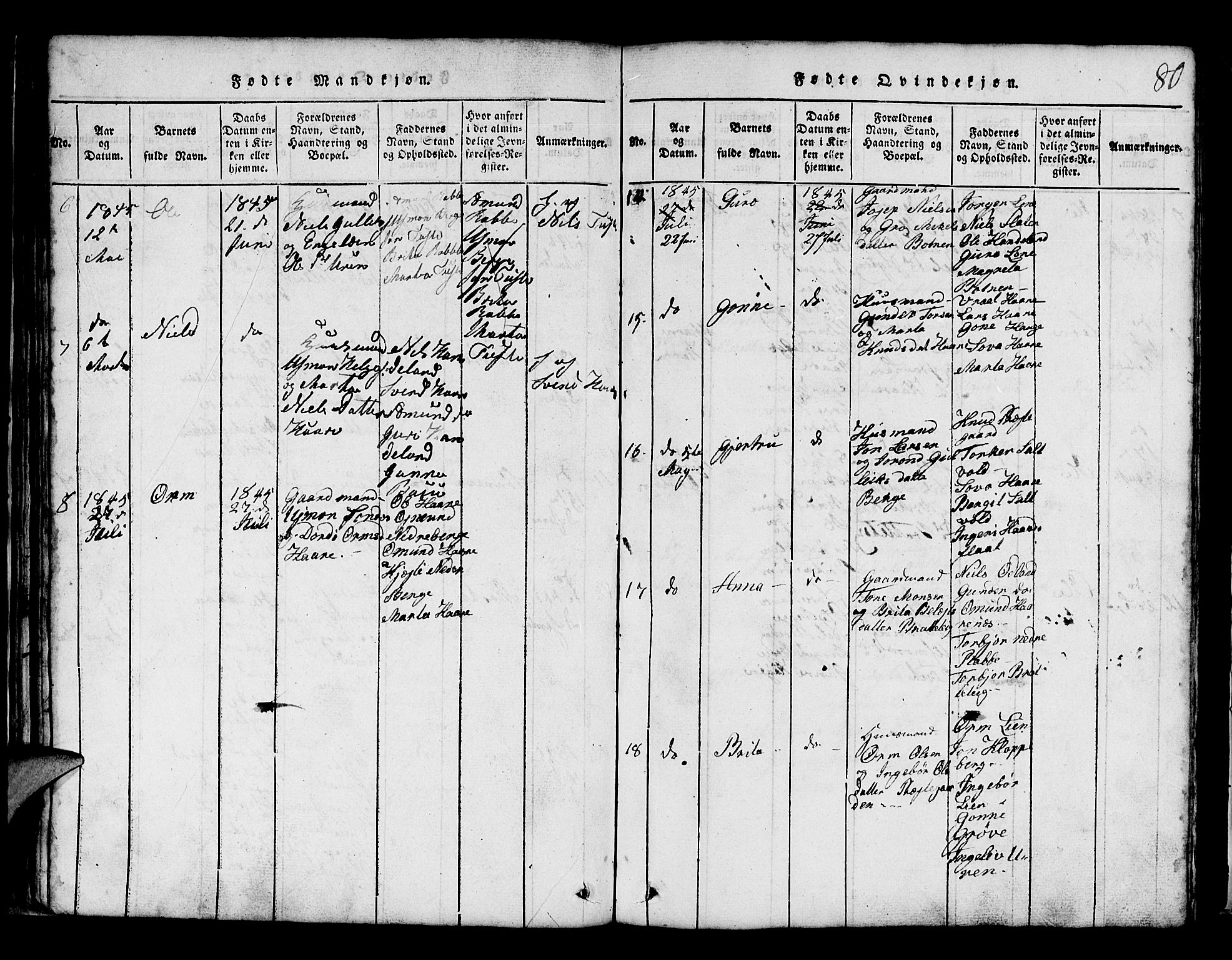 Røldal sokneprestembete, AV/SAB-A-100247: Parish register (copy) no. A 1, 1817-1860, p. 80