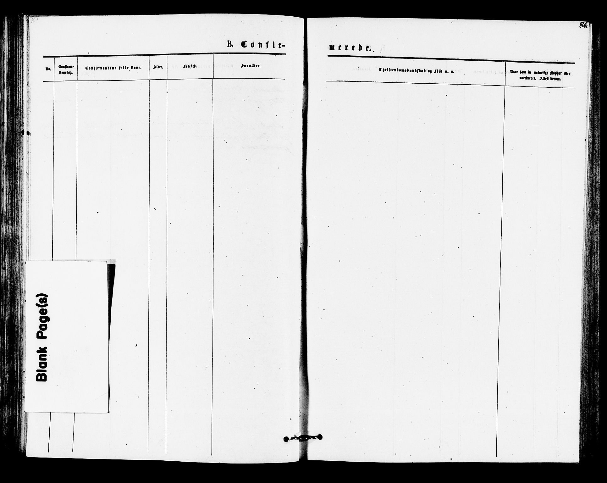 Rollag kirkebøker, AV/SAKO-A-240/F/Fa/L0010: Parish register (official) no. I 10, 1874-1877, p. 86