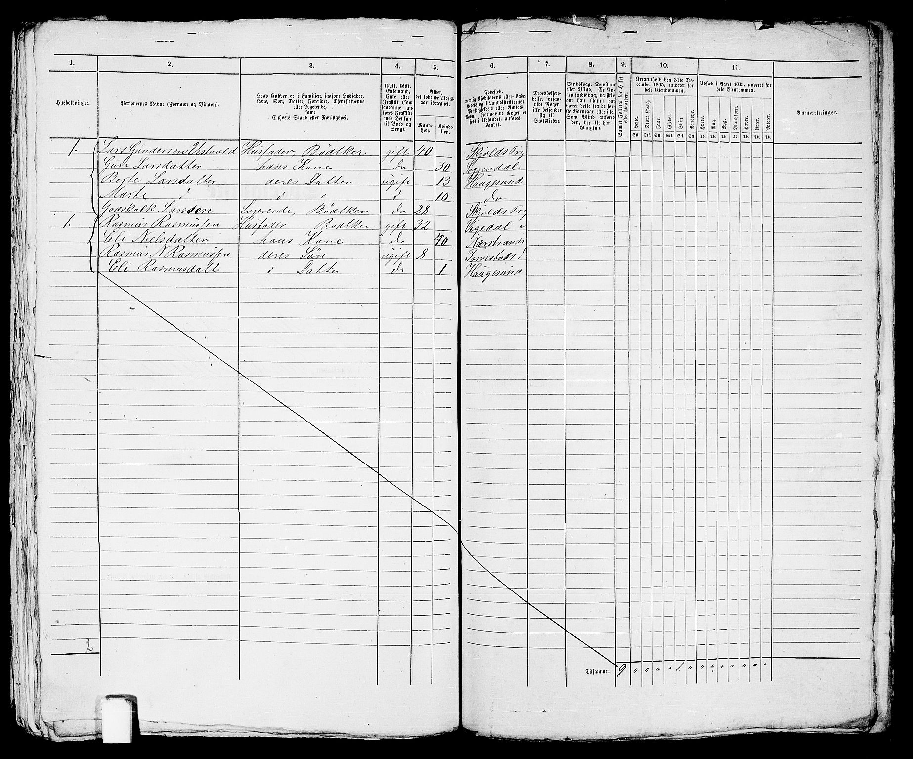 RA, 1865 census for Torvastad/Haugesund, 1865, p. 506