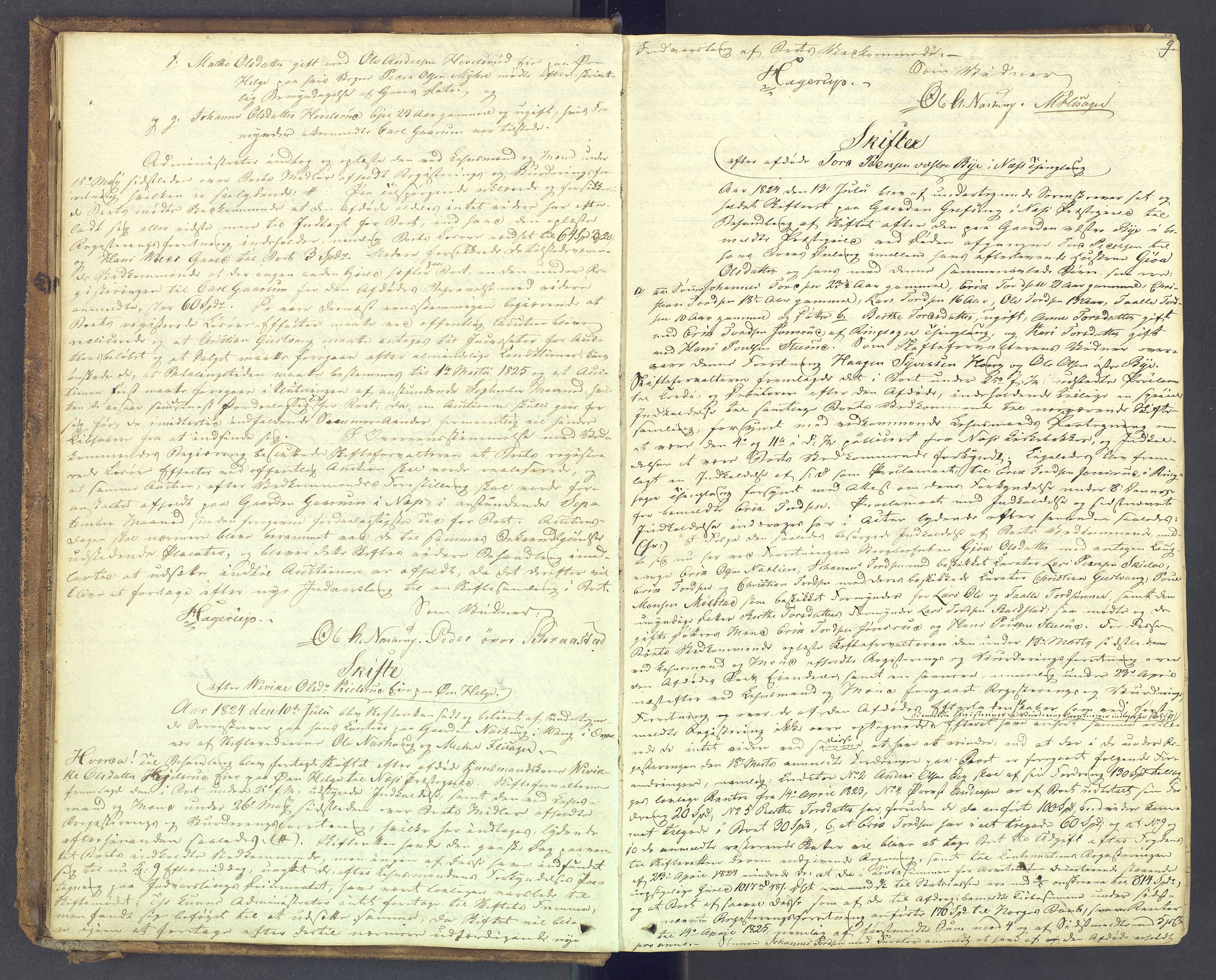 Nord-Hedmark sorenskriveri, AV/SAH-TING-012/J/Ja/L0007: Skifteprotokoll, 1824-1829, p. 8b-9a