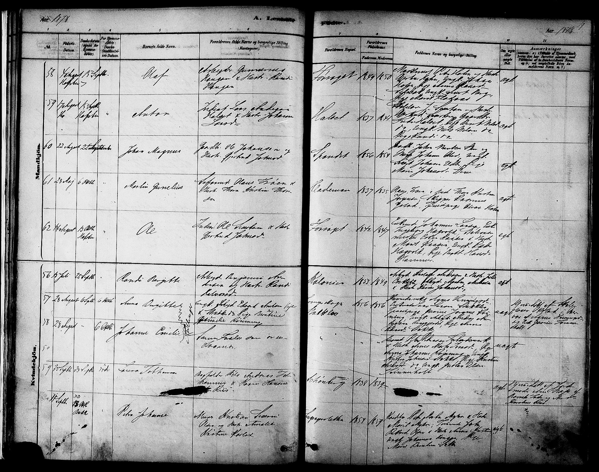 Ministerialprotokoller, klokkerbøker og fødselsregistre - Sør-Trøndelag, AV/SAT-A-1456/606/L0294: Parish register (official) no. 606A09, 1878-1886, p. 19