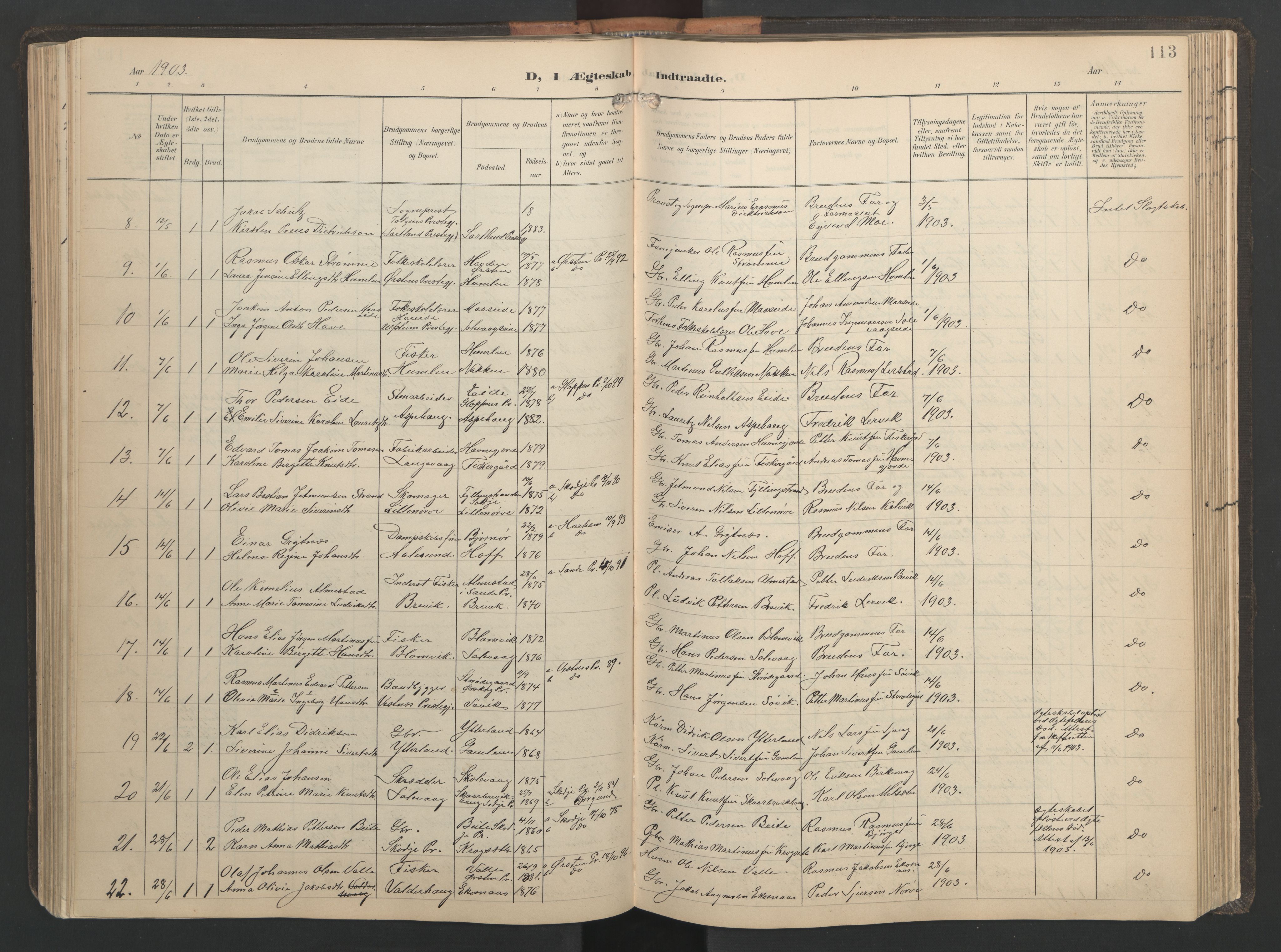 Ministerialprotokoller, klokkerbøker og fødselsregistre - Møre og Romsdal, AV/SAT-A-1454/528/L0433: Parish register (copy) no. 528C14, 1899-1922, p. 113