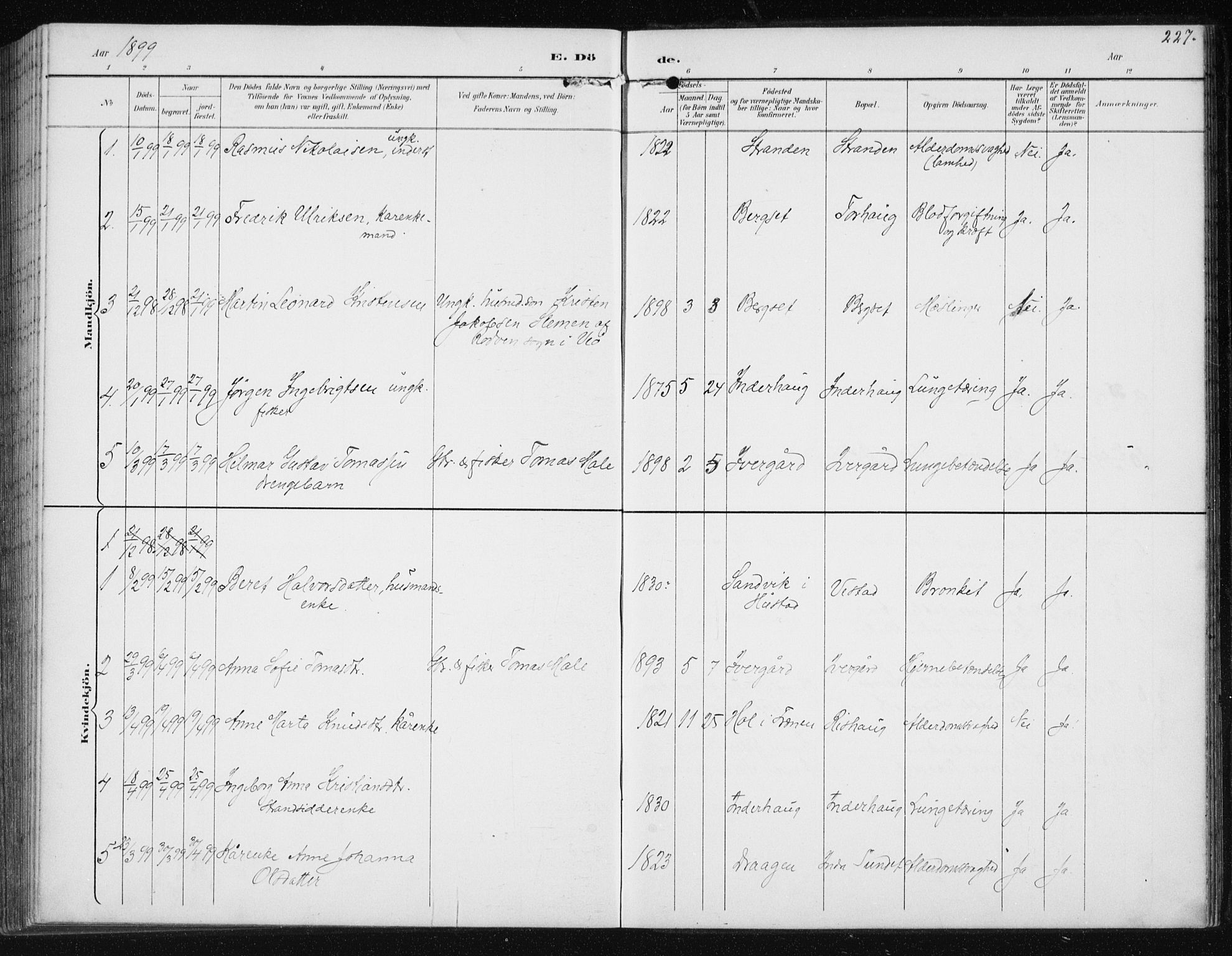 Ministerialprotokoller, klokkerbøker og fødselsregistre - Møre og Romsdal, AV/SAT-A-1454/566/L0773: Parish register (copy) no. 566C02, 1892-1909, p. 227