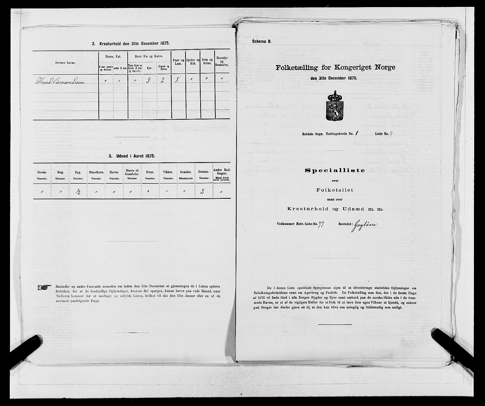 SAB, 1875 census for 1229P Røldal, 1875, p. 17