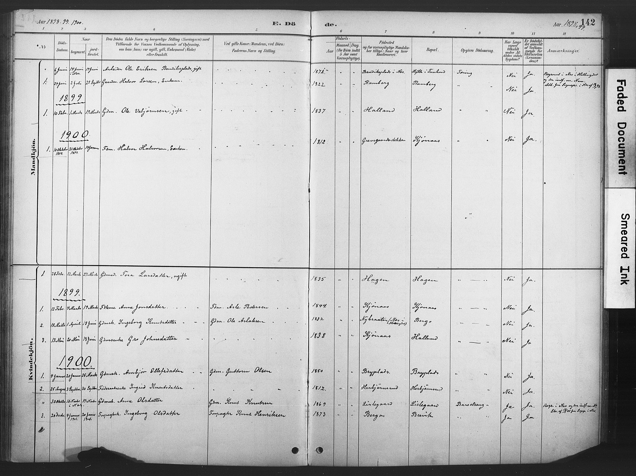 Nore kirkebøker, SAKO/A-238/F/Fd/L0001: Parish register (official) no. IV 1, 1878-1918, p. 142