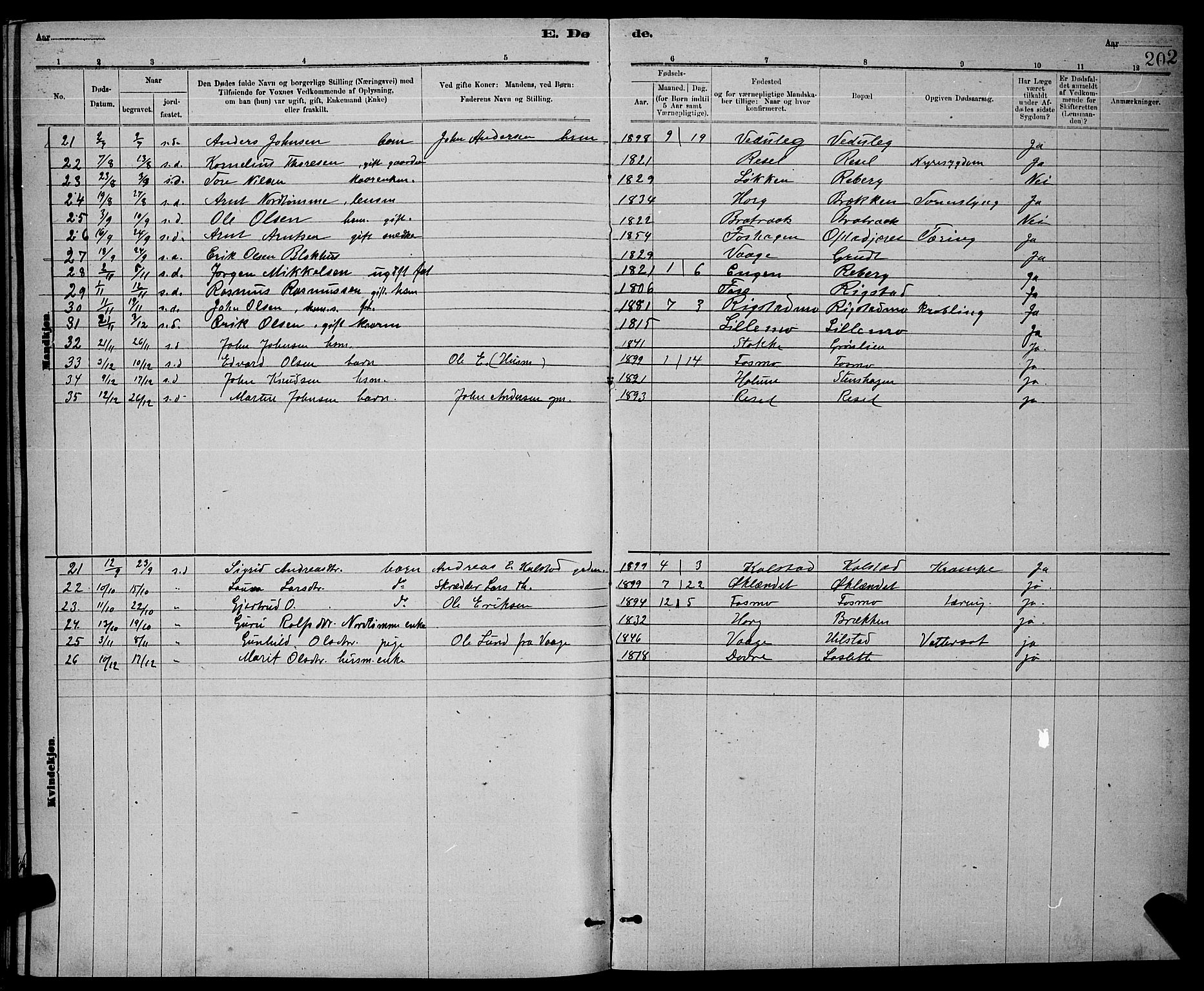 Ministerialprotokoller, klokkerbøker og fødselsregistre - Sør-Trøndelag, SAT/A-1456/672/L0863: Parish register (copy) no. 672C02, 1888-1901, p. 202