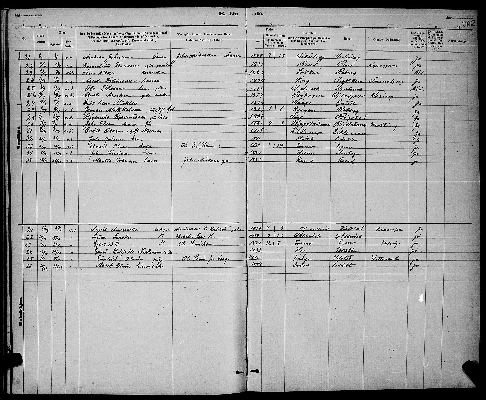 Ministerialprotokoller, klokkerbøker og fødselsregistre - Sør-Trøndelag, AV/SAT-A-1456/672/L0863: Parish register (copy) no. 672C02, 1888-1901, p. 202