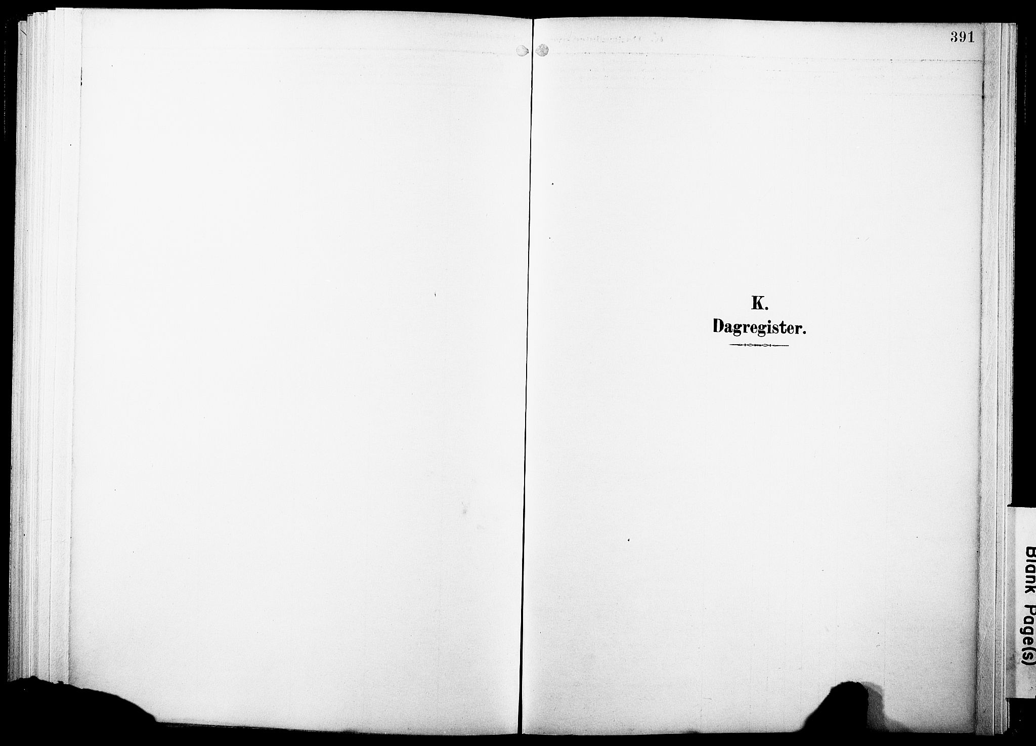 Ministerialprotokoller, klokkerbøker og fødselsregistre - Nordland, SAT/A-1459/891/L1305: Parish register (official) no. 891A10, 1895-1921, p. 391