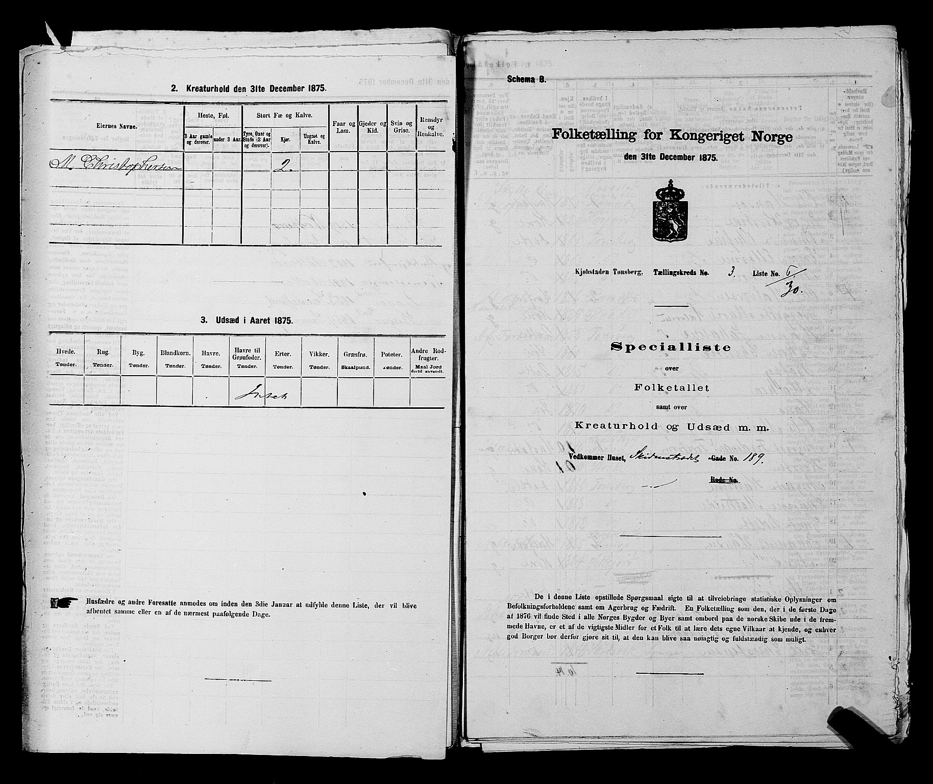 SAKO, 1875 census for 0705P Tønsberg, 1875, p. 94