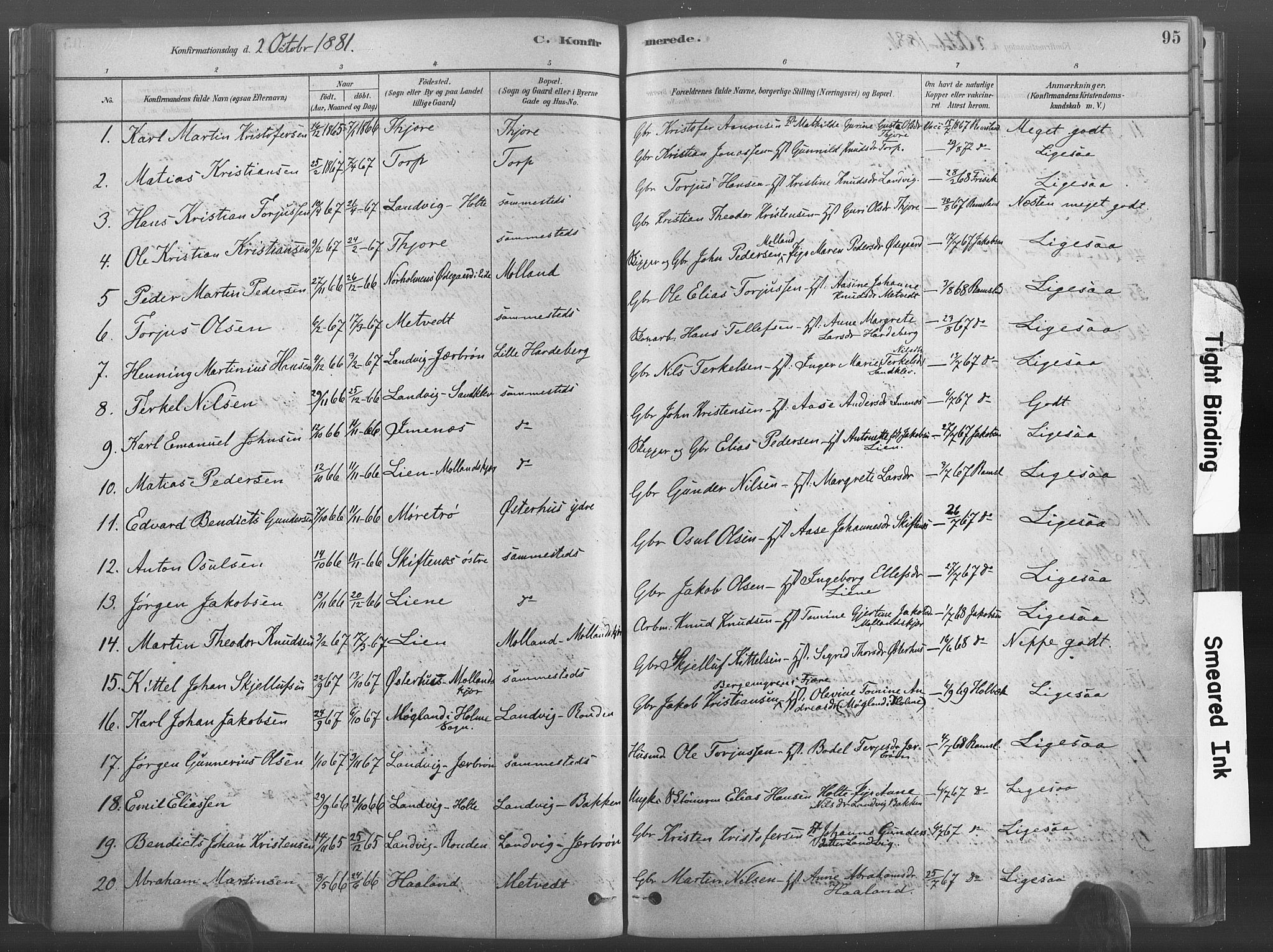 Hommedal sokneprestkontor, AV/SAK-1111-0023/F/Fa/Fab/L0006: Parish register (official) no. A 6, 1878-1897, p. 95