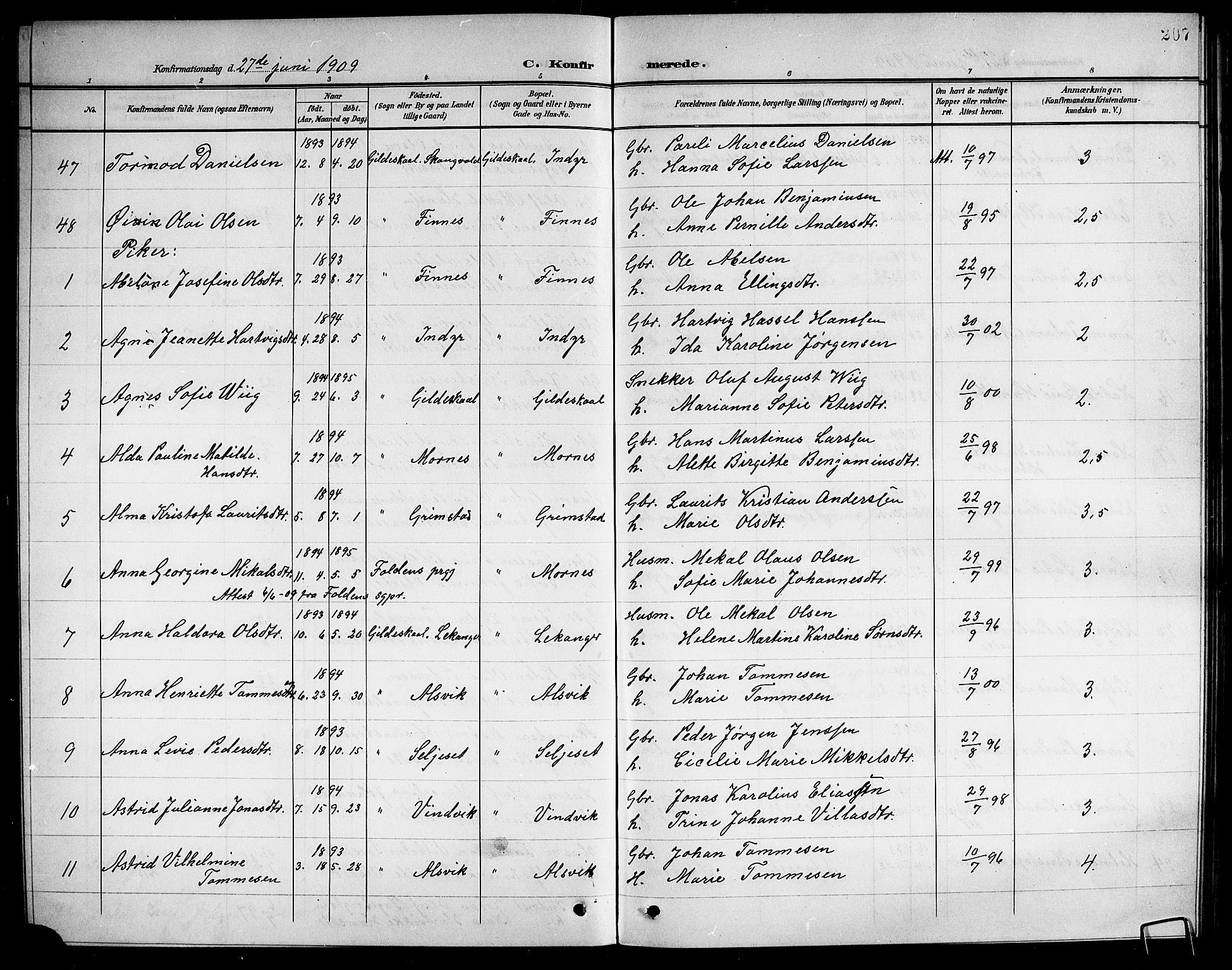 Ministerialprotokoller, klokkerbøker og fødselsregistre - Nordland, AV/SAT-A-1459/805/L0109: Parish register (copy) no. 805C05, 1900-1911, p. 207