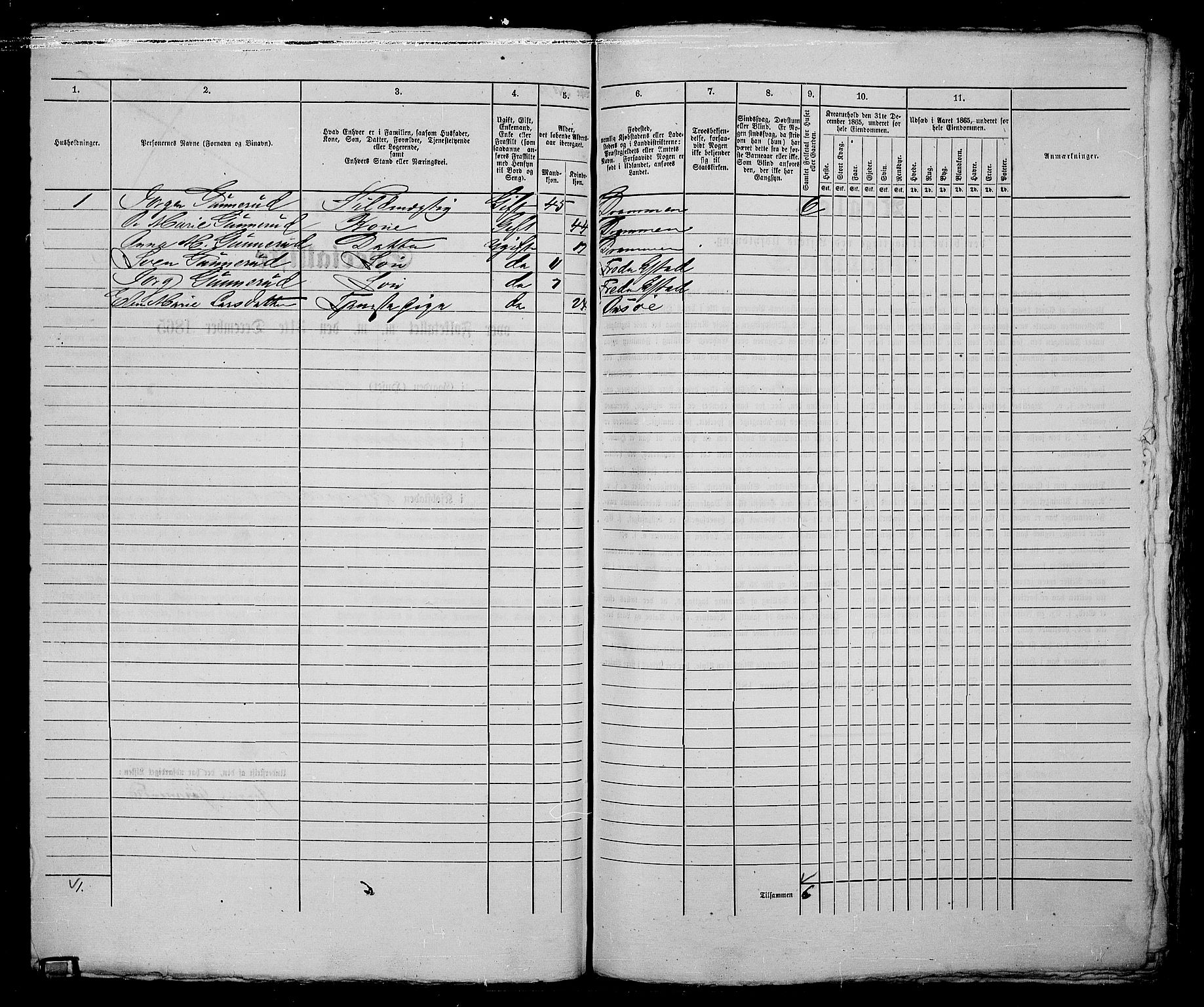 RA, 1865 census for Fredrikstad/Fredrikstad, 1865, p. 213