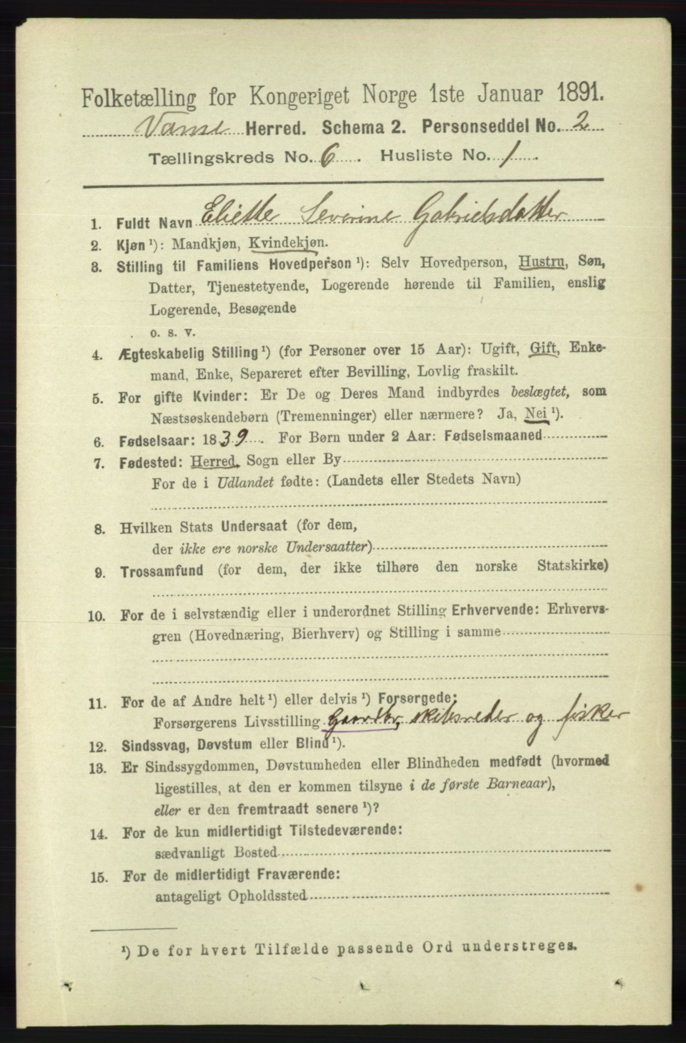 RA, 1891 census for 1041 Vanse, 1891, p. 3496