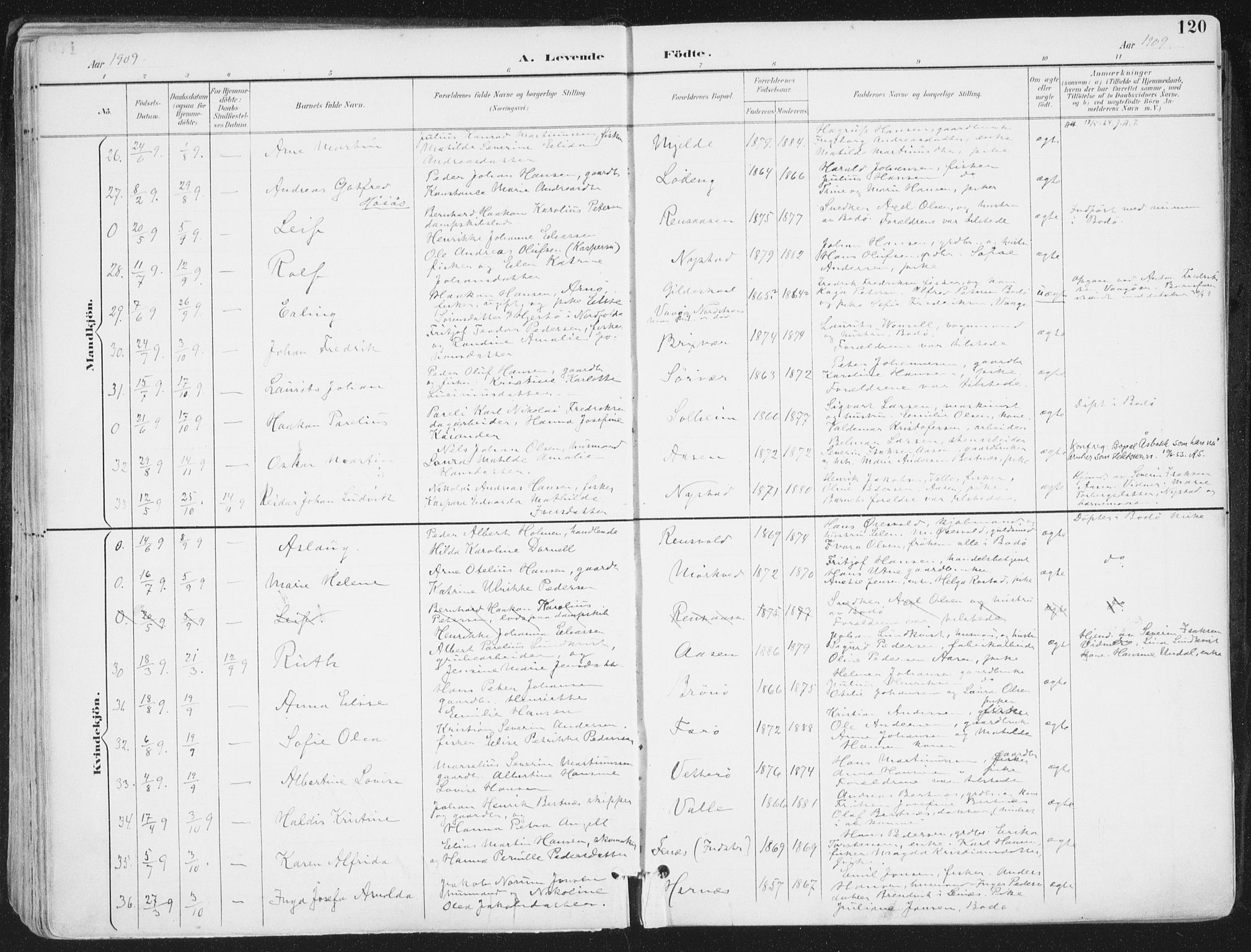 Ministerialprotokoller, klokkerbøker og fødselsregistre - Nordland, AV/SAT-A-1459/802/L0055: Parish register (official) no. 802A02, 1894-1915, p. 120