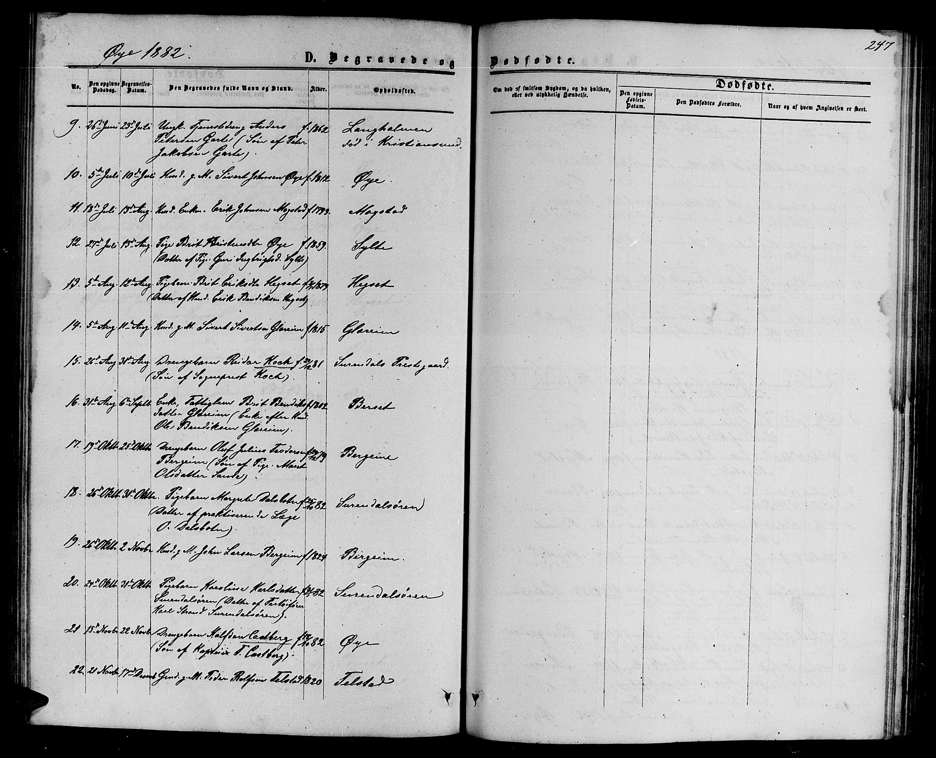 Ministerialprotokoller, klokkerbøker og fødselsregistre - Møre og Romsdal, SAT/A-1454/595/L1051: Parish register (copy) no. 595C03, 1866-1891, p. 247