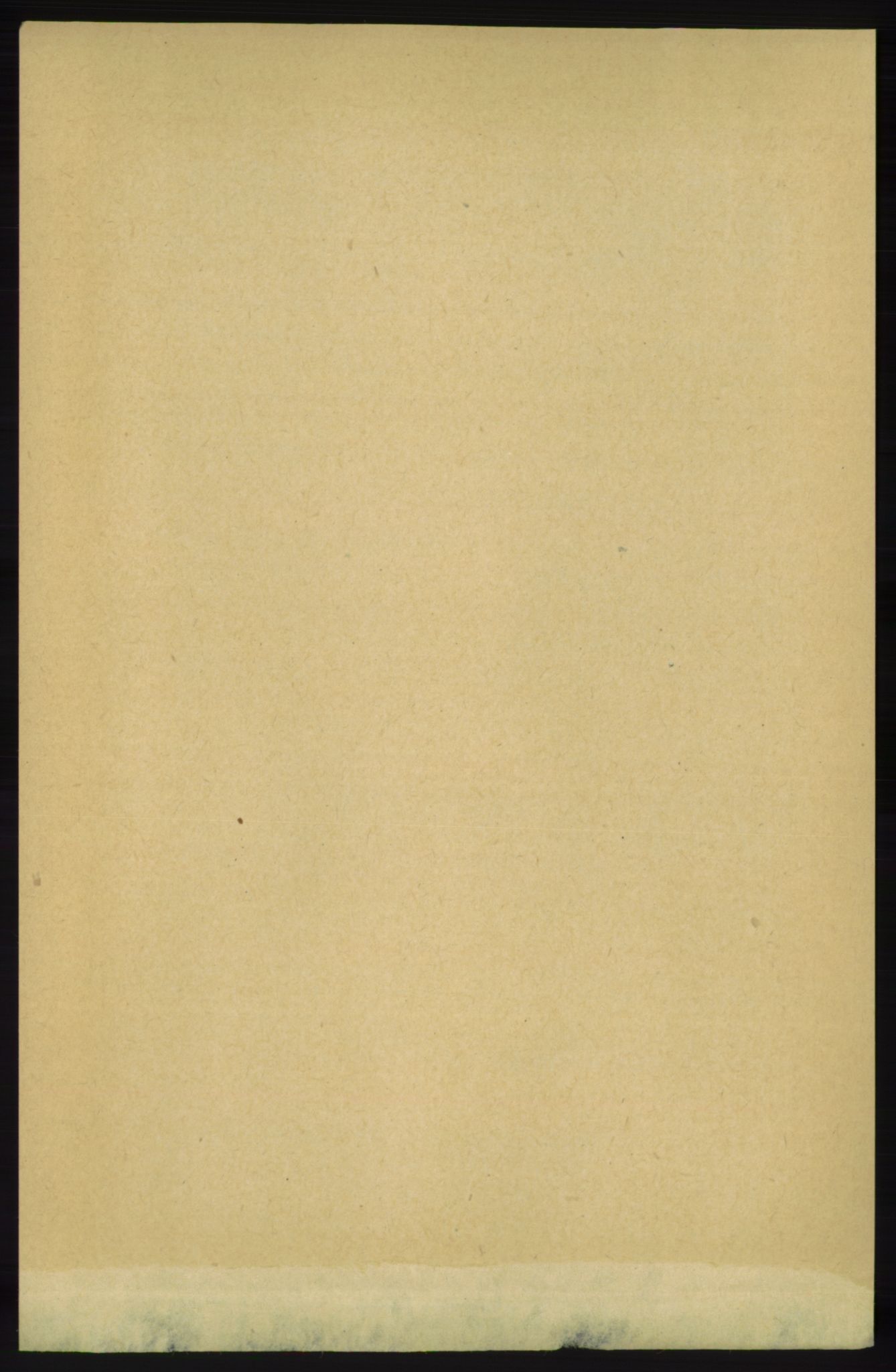RA, 1891 census for 1138 Jelsa, 1891, p. 2770