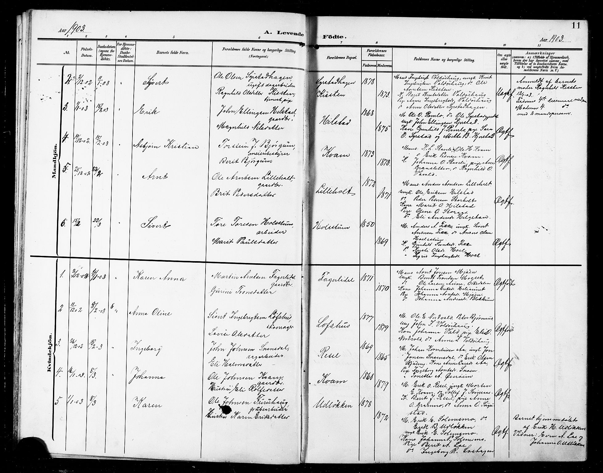 Ministerialprotokoller, klokkerbøker og fødselsregistre - Sør-Trøndelag, AV/SAT-A-1456/672/L0864: Parish register (copy) no. 672C03, 1902-1914, p. 11