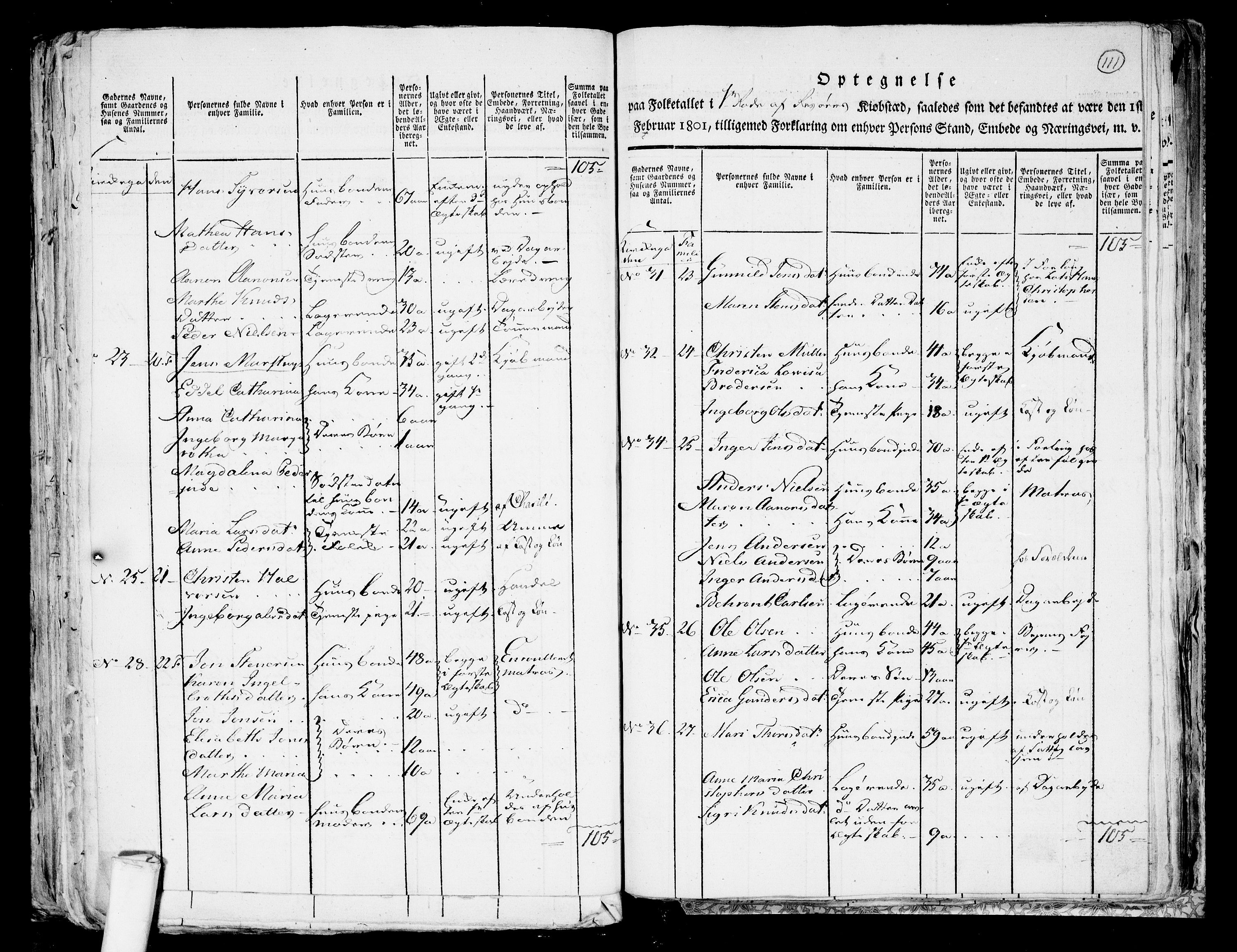 RA, 1801 census for 0901P Risør, 1801, p. 110b-111a