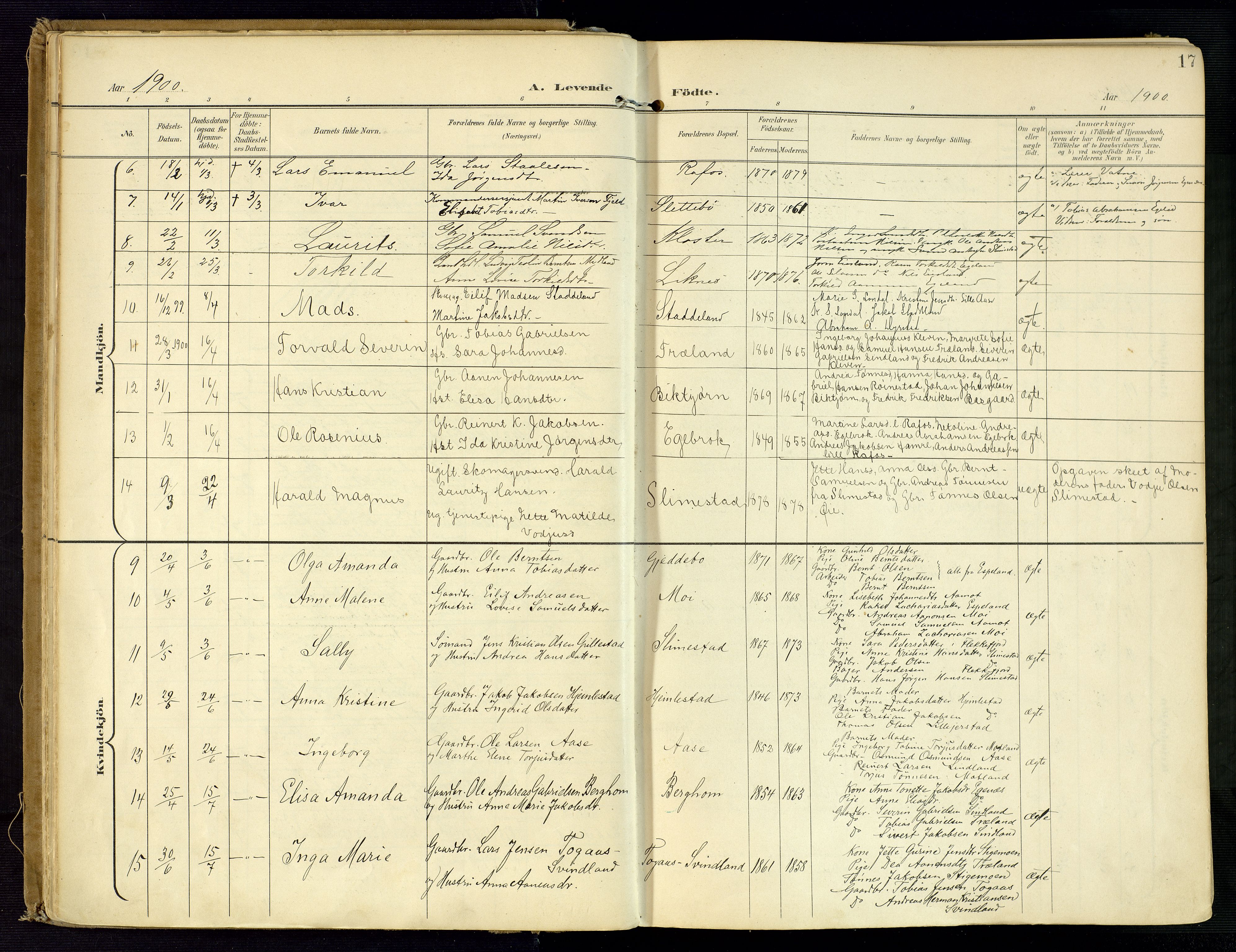 Kvinesdal sokneprestkontor, SAK/1111-0026/F/Fa/Fab/L0009: Parish register (official) no. A 9, 1898-1915, p. 17