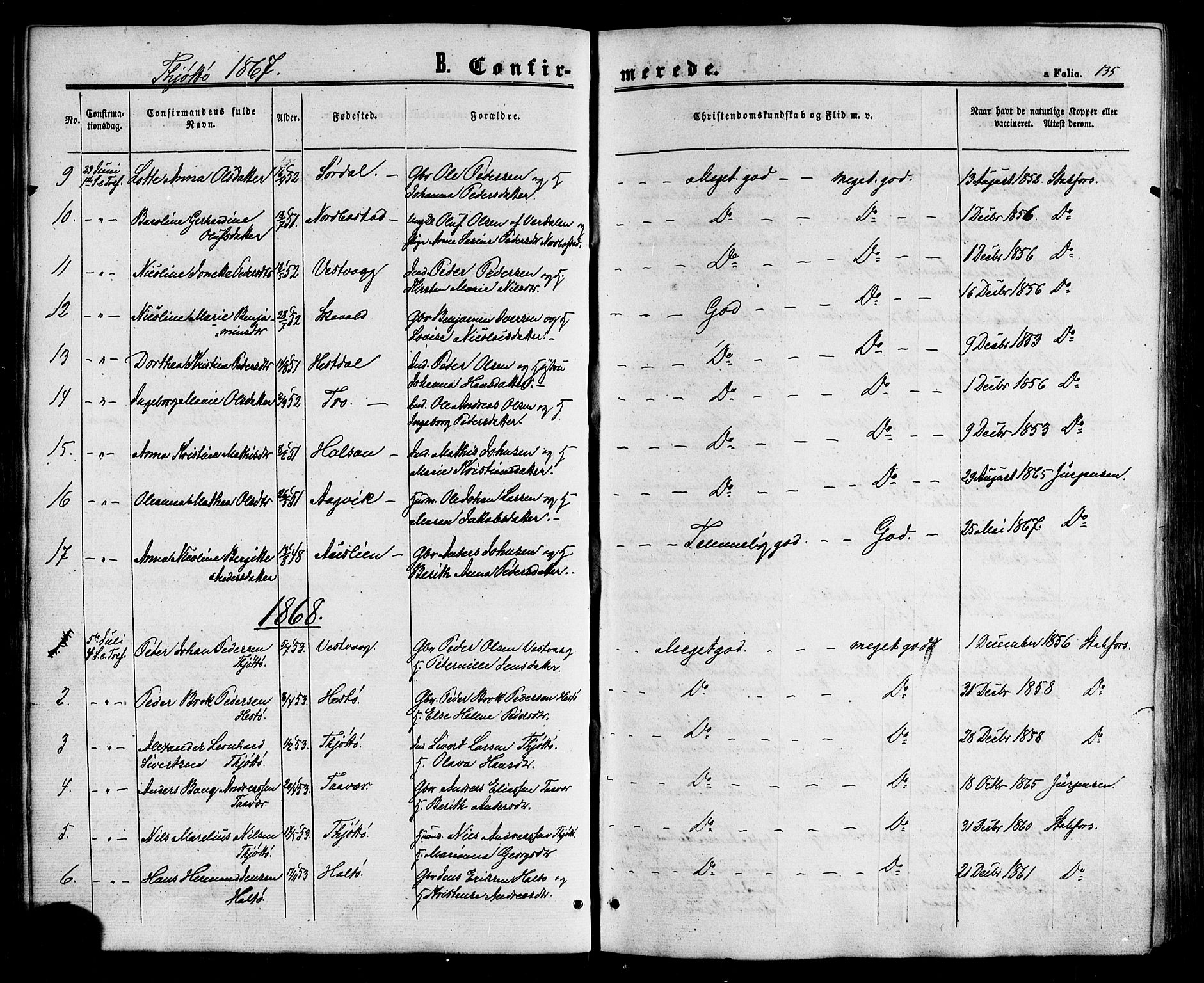 Ministerialprotokoller, klokkerbøker og fødselsregistre - Nordland, AV/SAT-A-1459/817/L0262: Parish register (official) no. 817A03/ 1, 1862-1877, p. 135