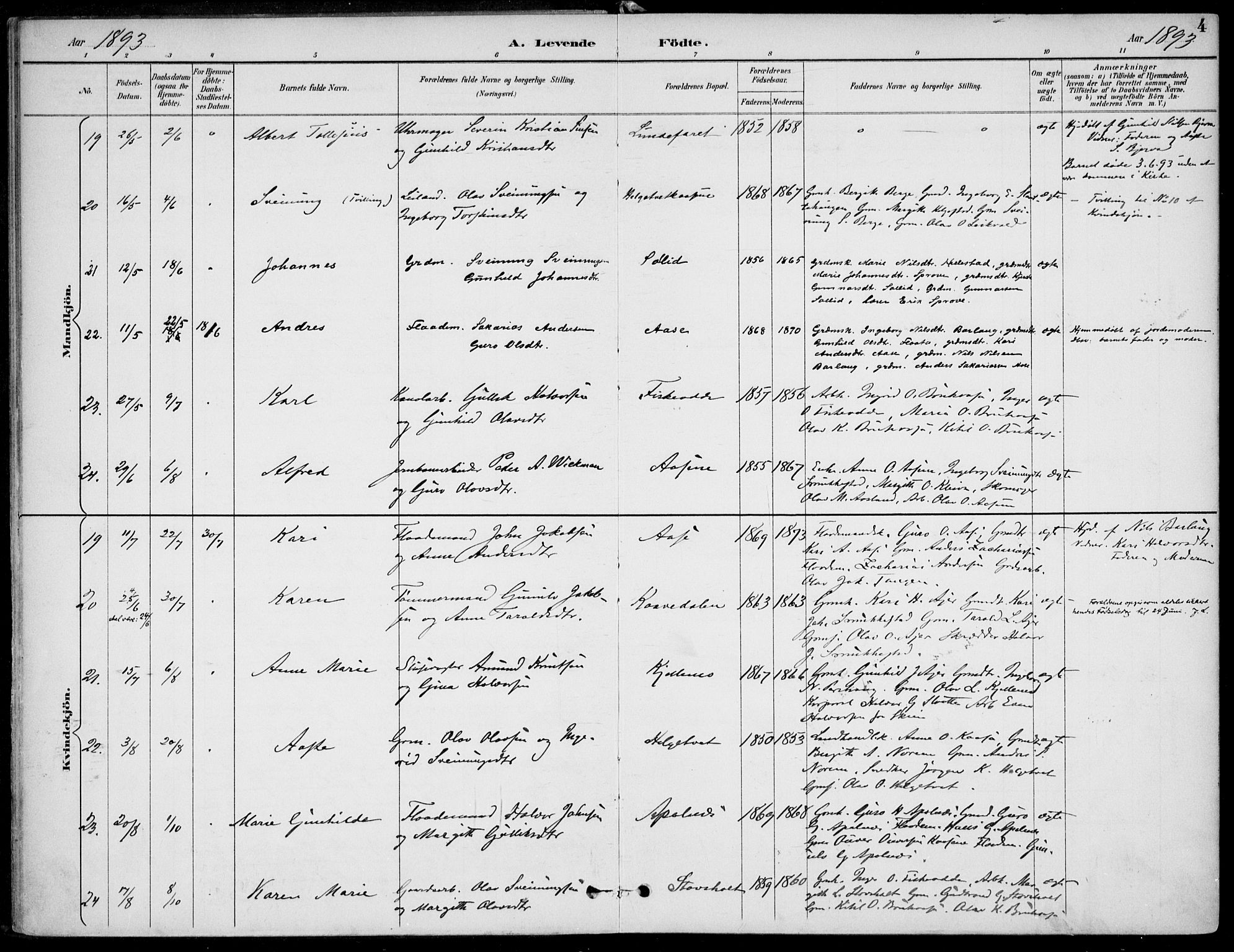 Lunde kirkebøker, AV/SAKO-A-282/F/Fa/L0003: Parish register (official) no. I 3, 1893-1902, p. 4