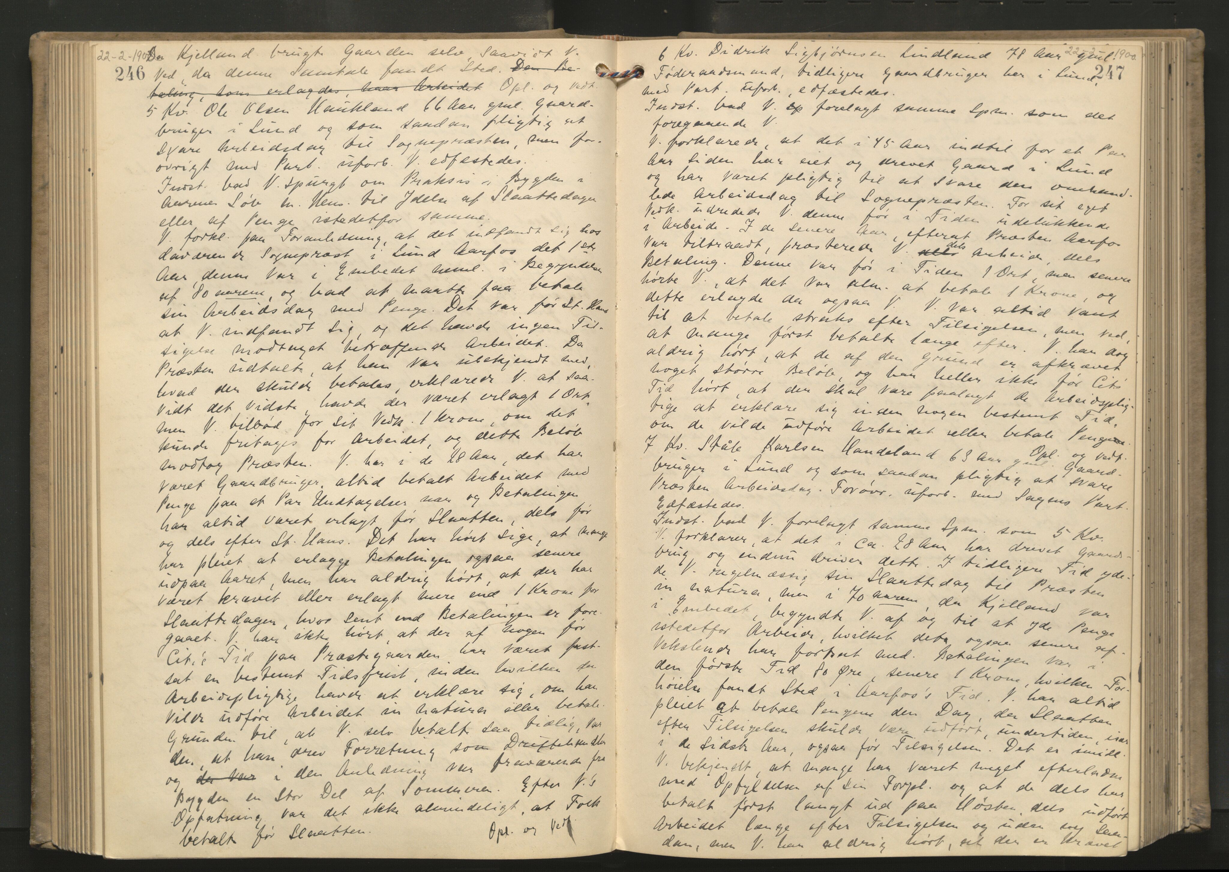 Dalane sorenskriveri, AV/SAST-A-100309/001/3/30/30BA/L0006: TINGBOK, 1898-1902, p. 246-247
