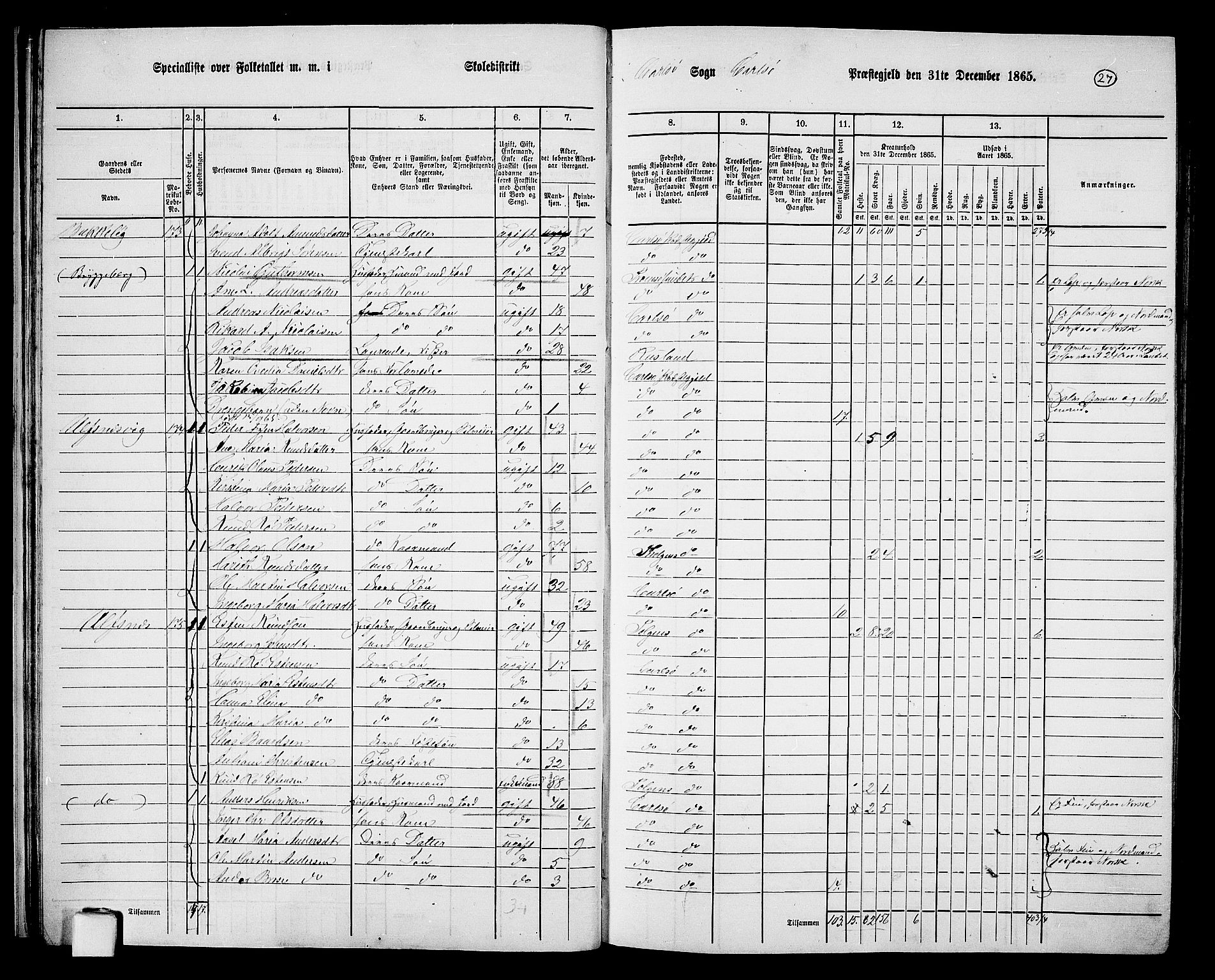 RA, 1865 census for Karlsøy, 1865, p. 26