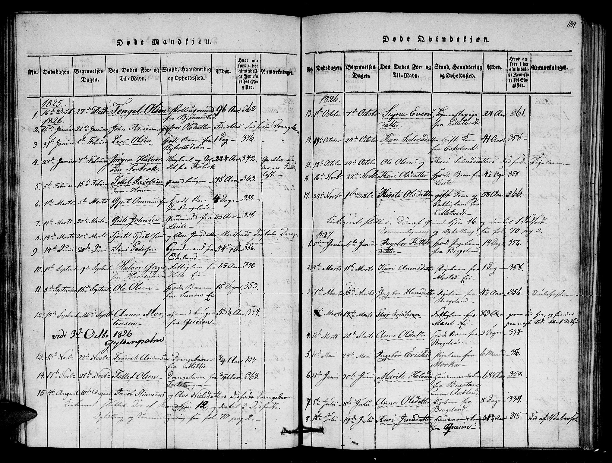 Gjerstad sokneprestkontor, AV/SAK-1111-0014/F/Fa/Faa/L0004: Parish register (official) no. A 4, 1816-1829, p. 104