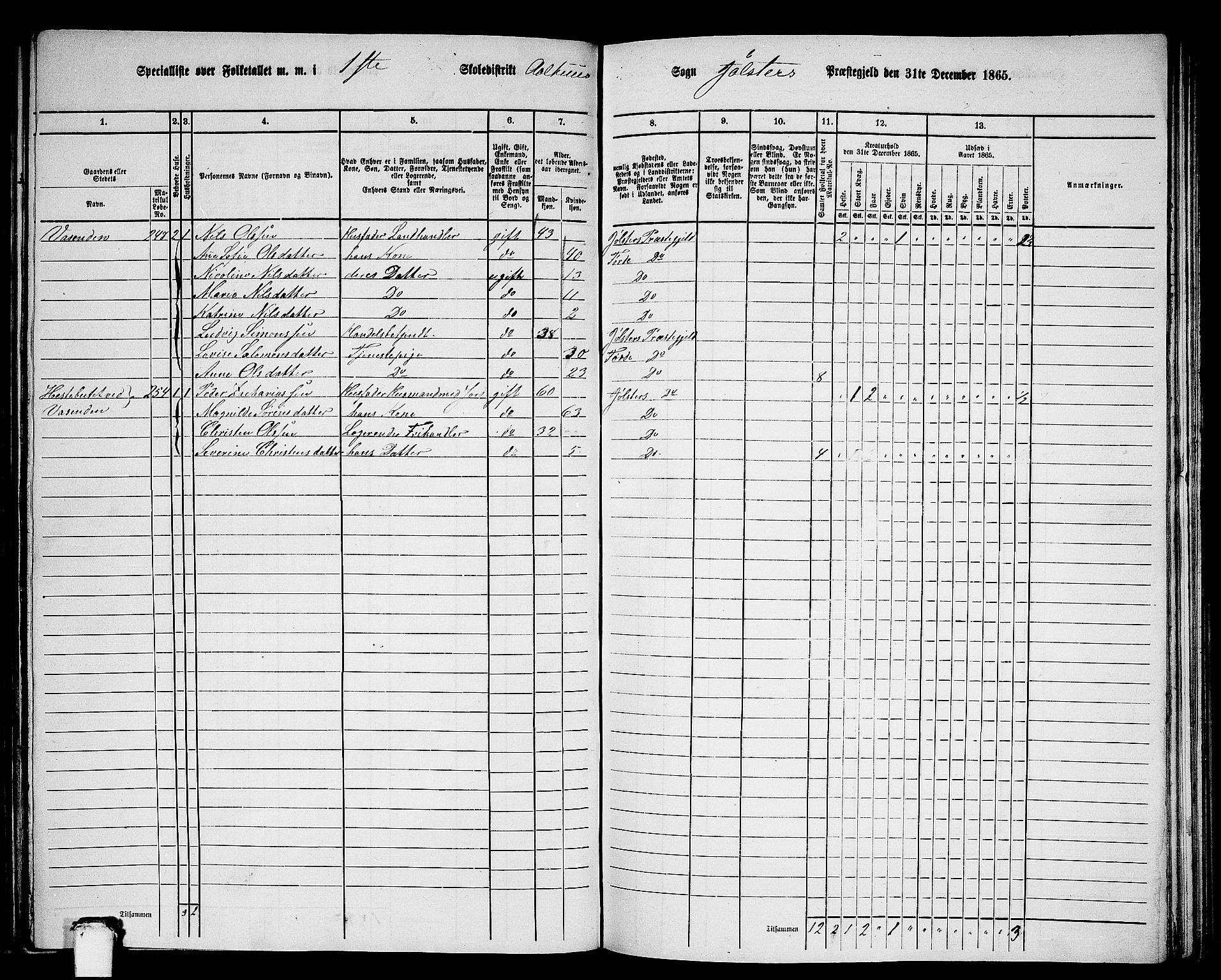 RA, 1865 census for Jølster, 1865, p. 107