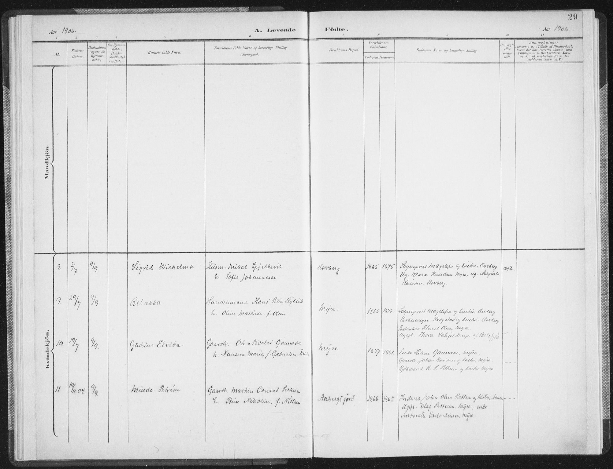 Ministerialprotokoller, klokkerbøker og fødselsregistre - Nordland, AV/SAT-A-1459/897/L1400: Parish register (official) no. 897A07, 1897-1908, p. 29