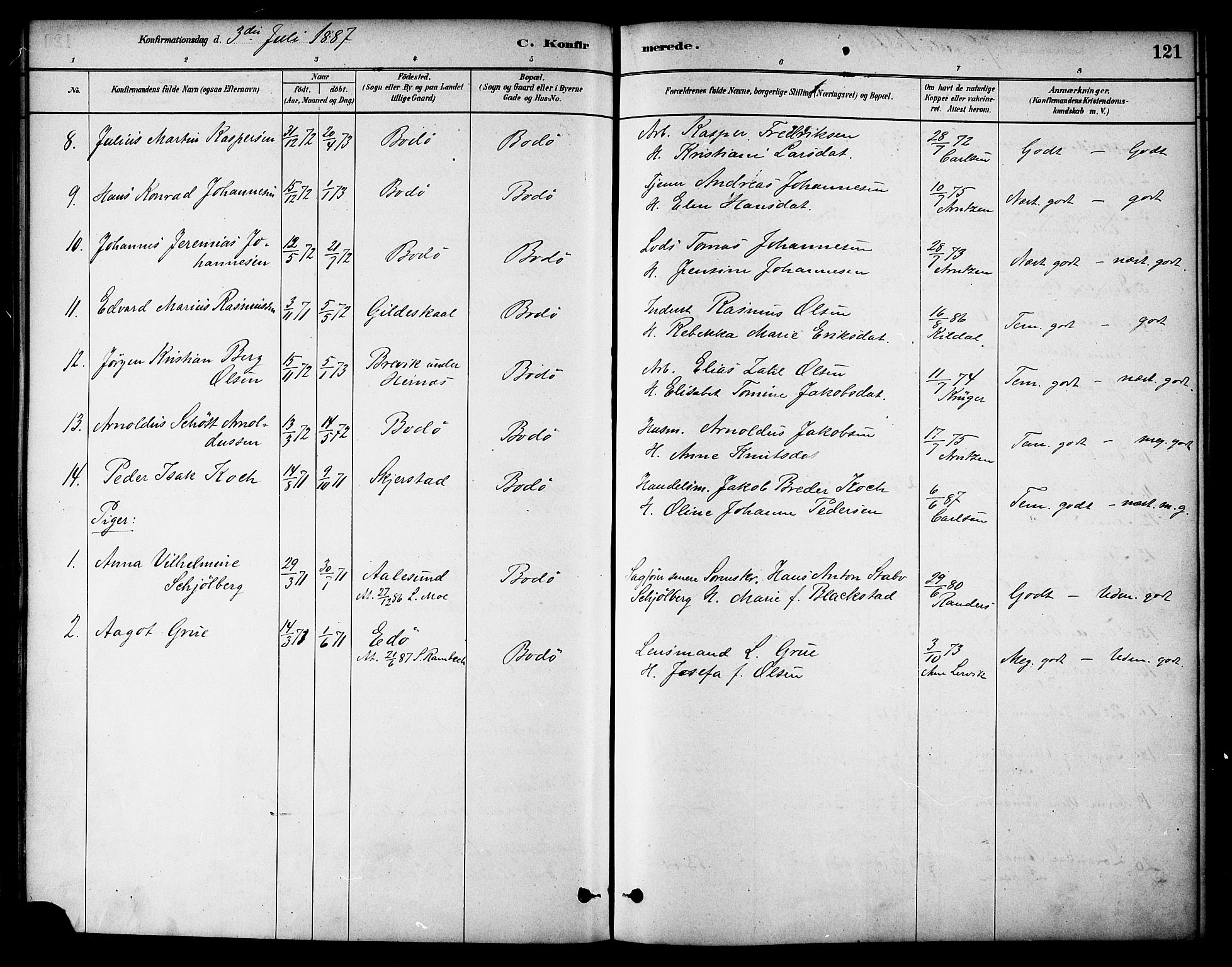 Ministerialprotokoller, klokkerbøker og fødselsregistre - Nordland, AV/SAT-A-1459/801/L0030: Parish register (copy) no. 801C05, 1879-1887, p. 121